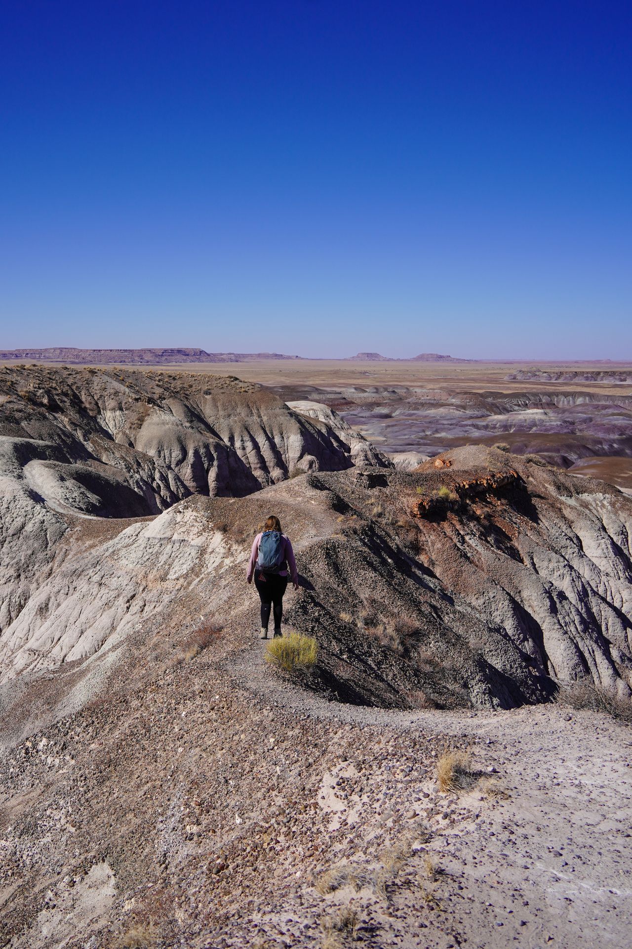 Lydia hiking up on top of badland formations on the Blue Mesa Historic Trail