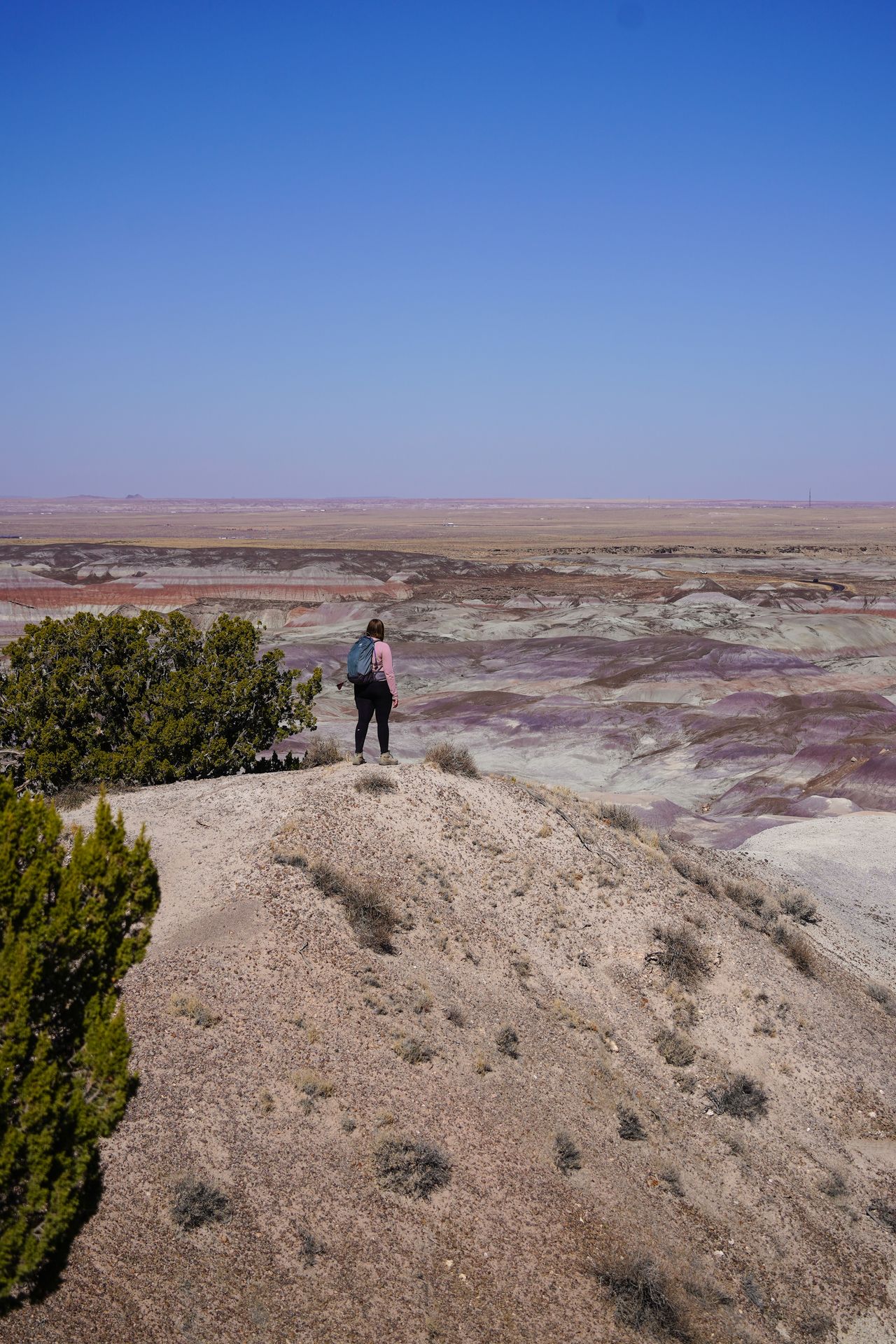 Lydia hiking up above a view of colorful badlands on the Blue Mesa Historic Trail