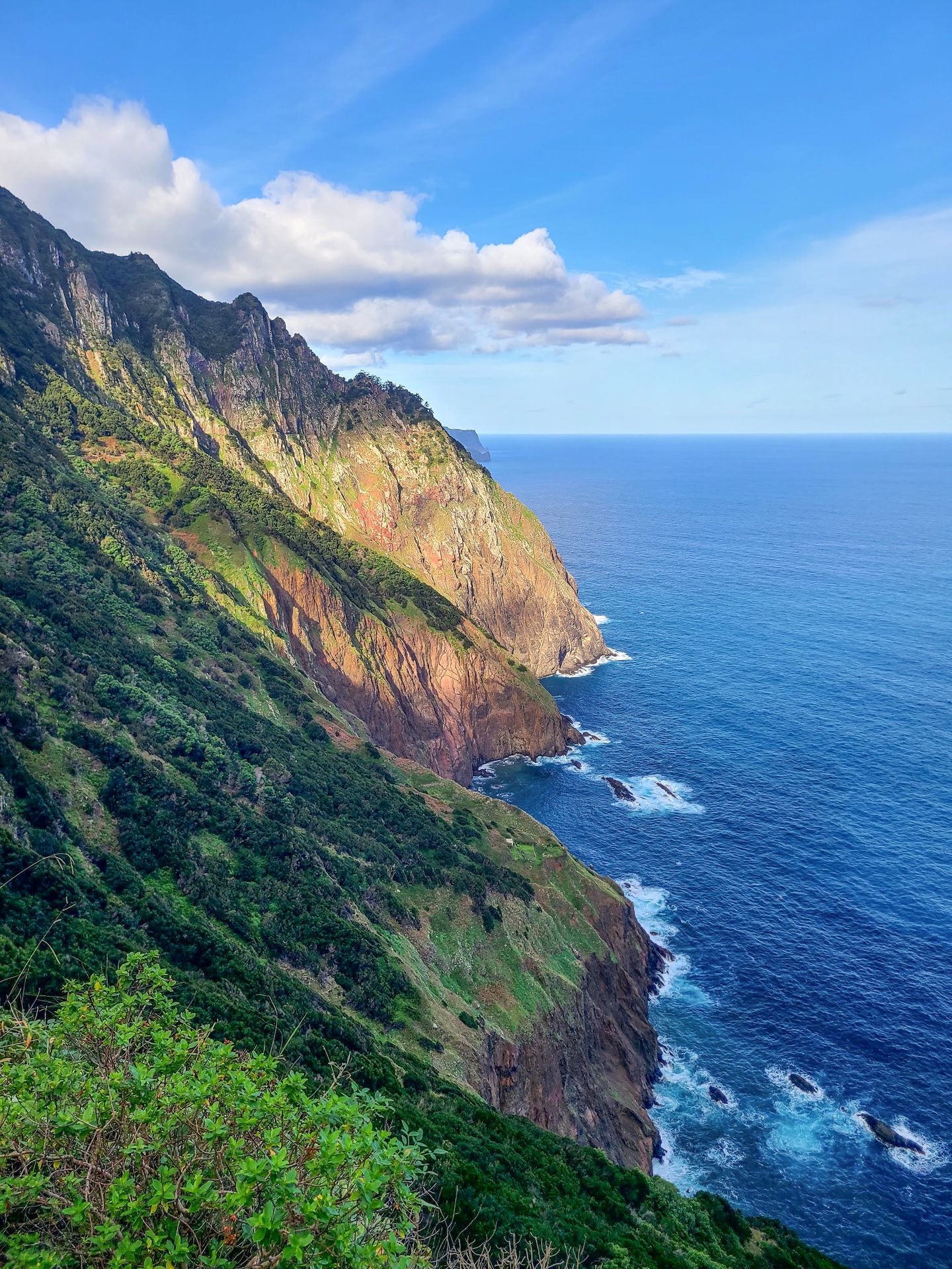 Mountains along the edge of the water covered in green trees.