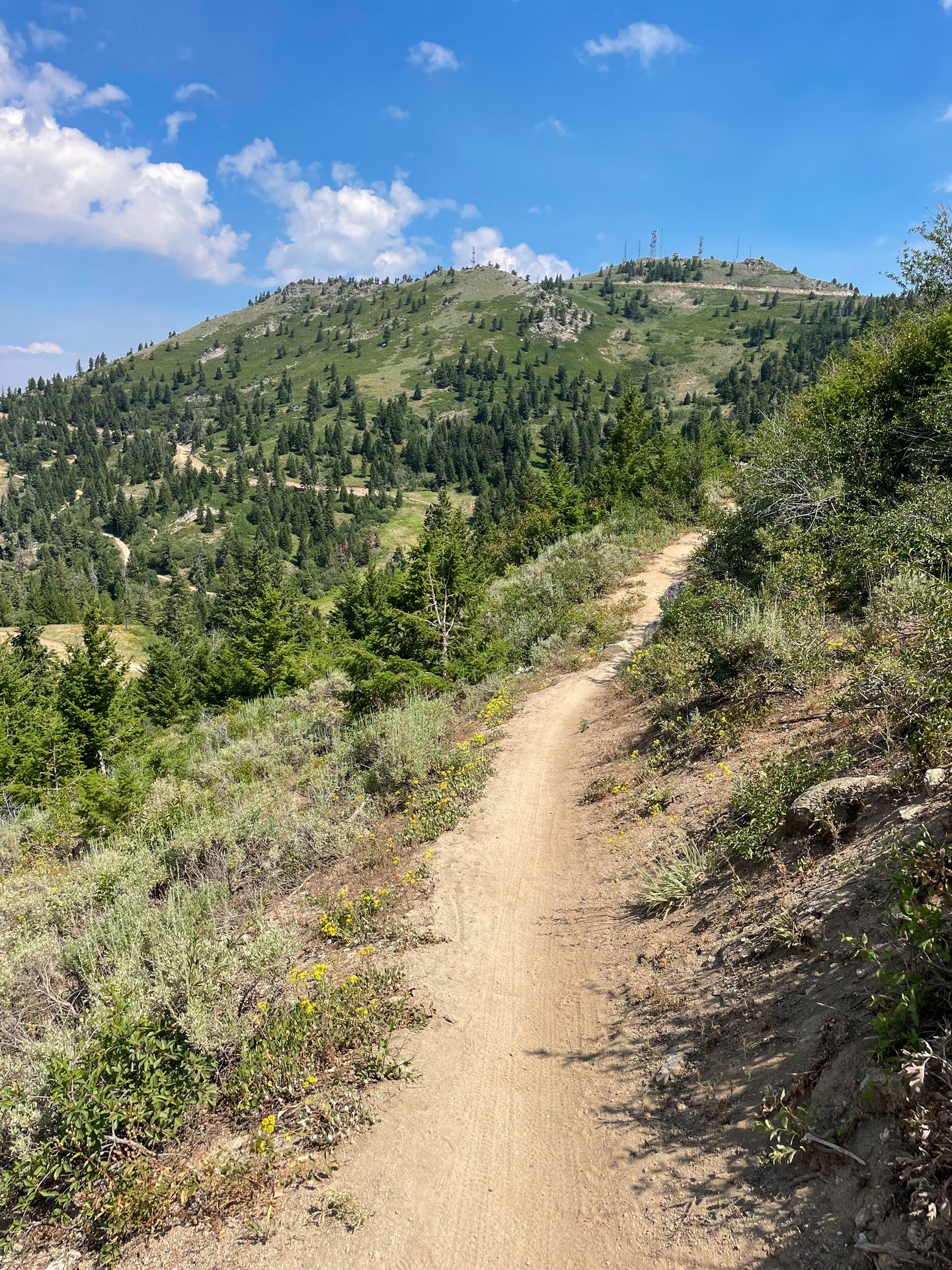 Gazing out at a hiking trail at Bogus Basin.