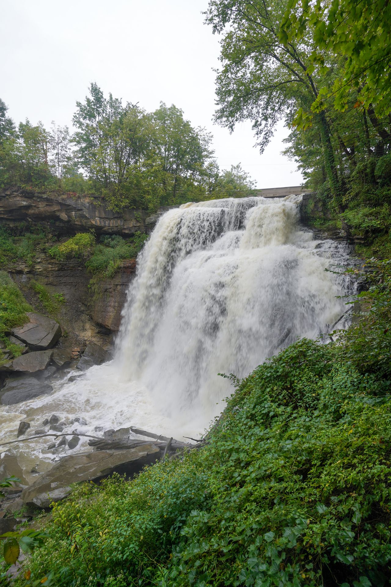A View of Brandwine Falls with the water flowing strongly.