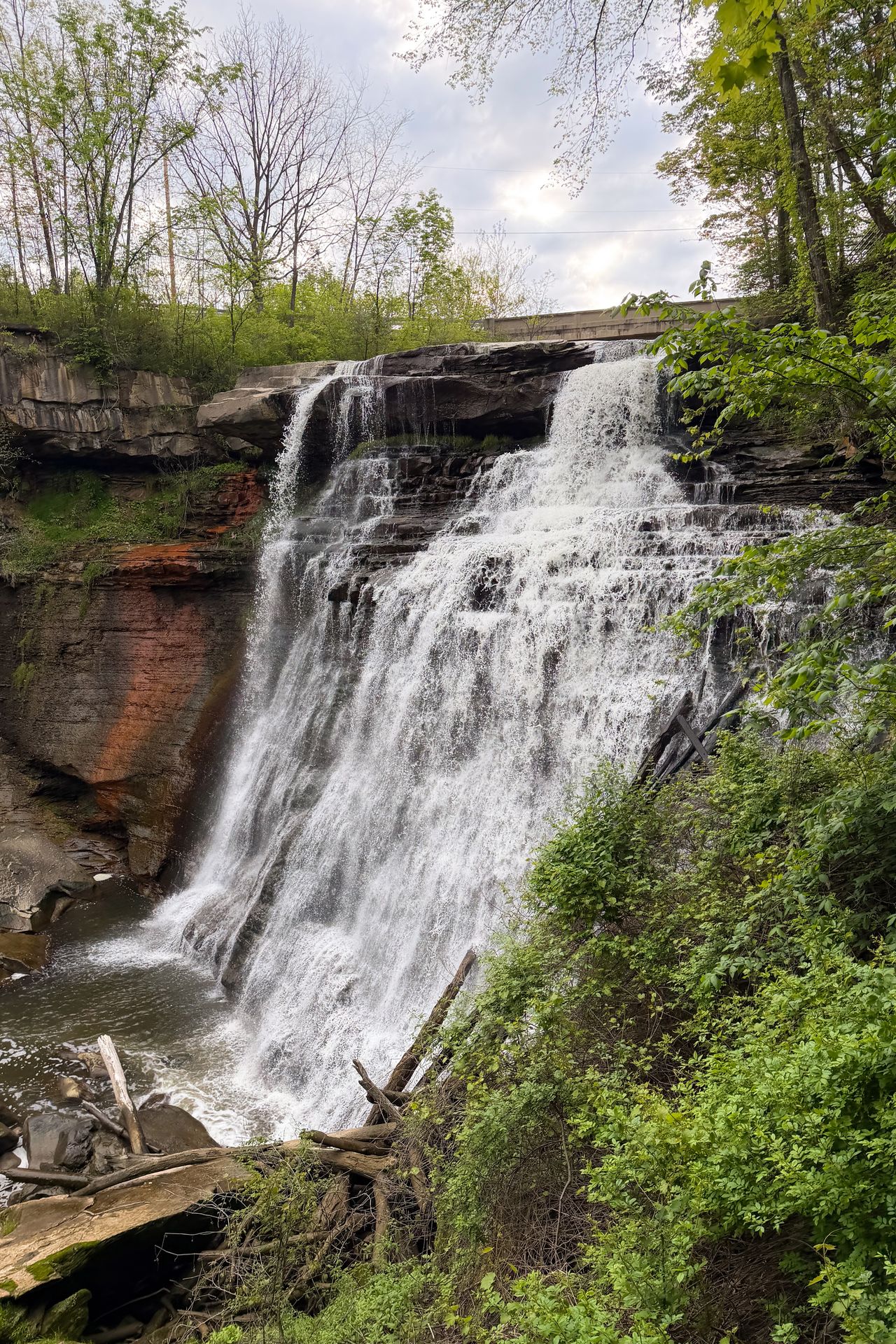 A View of Brandwine Falls falling down rocks and next to green trees