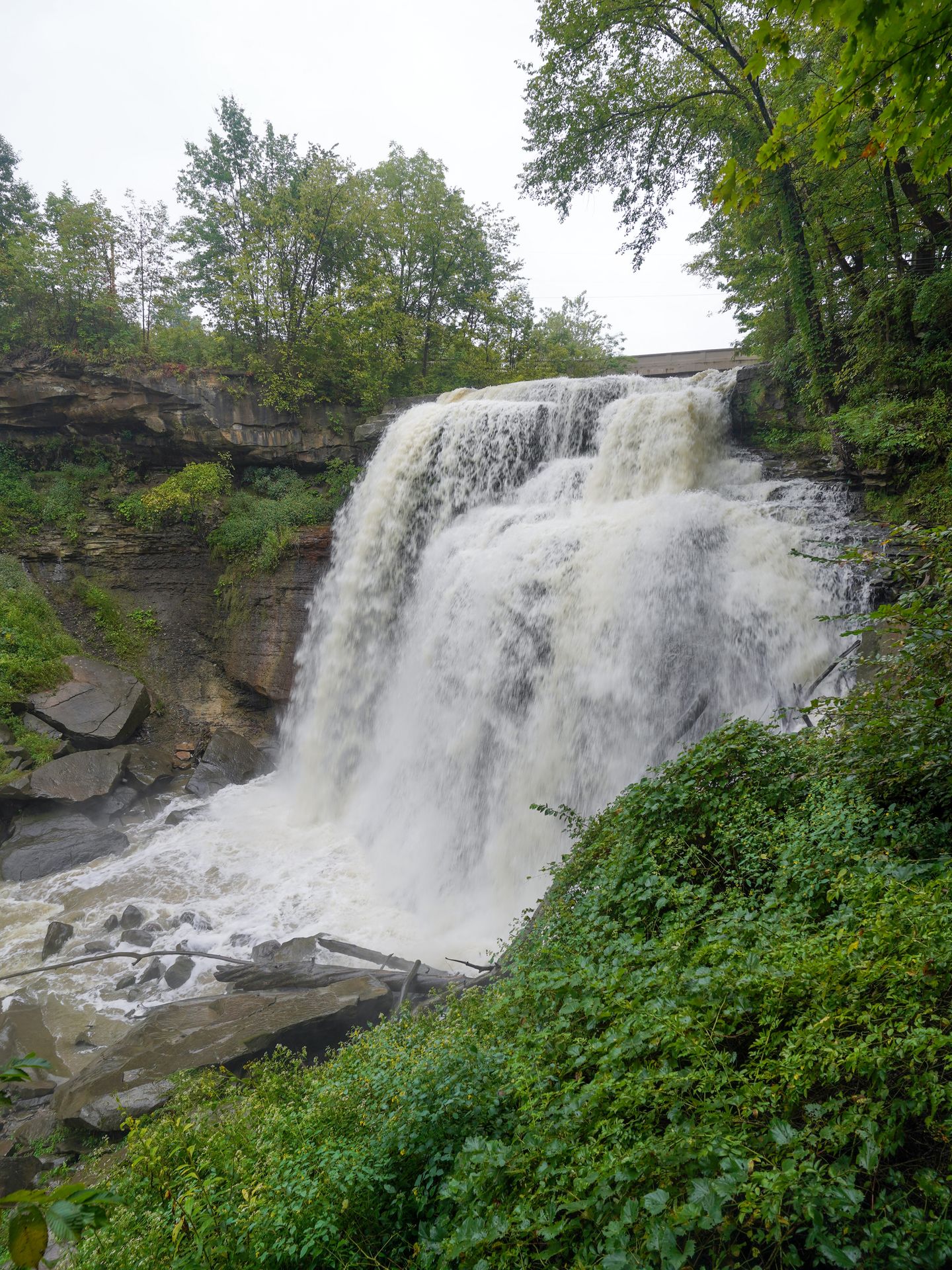 A view of Brandwine Falls with the water flowing strongly.