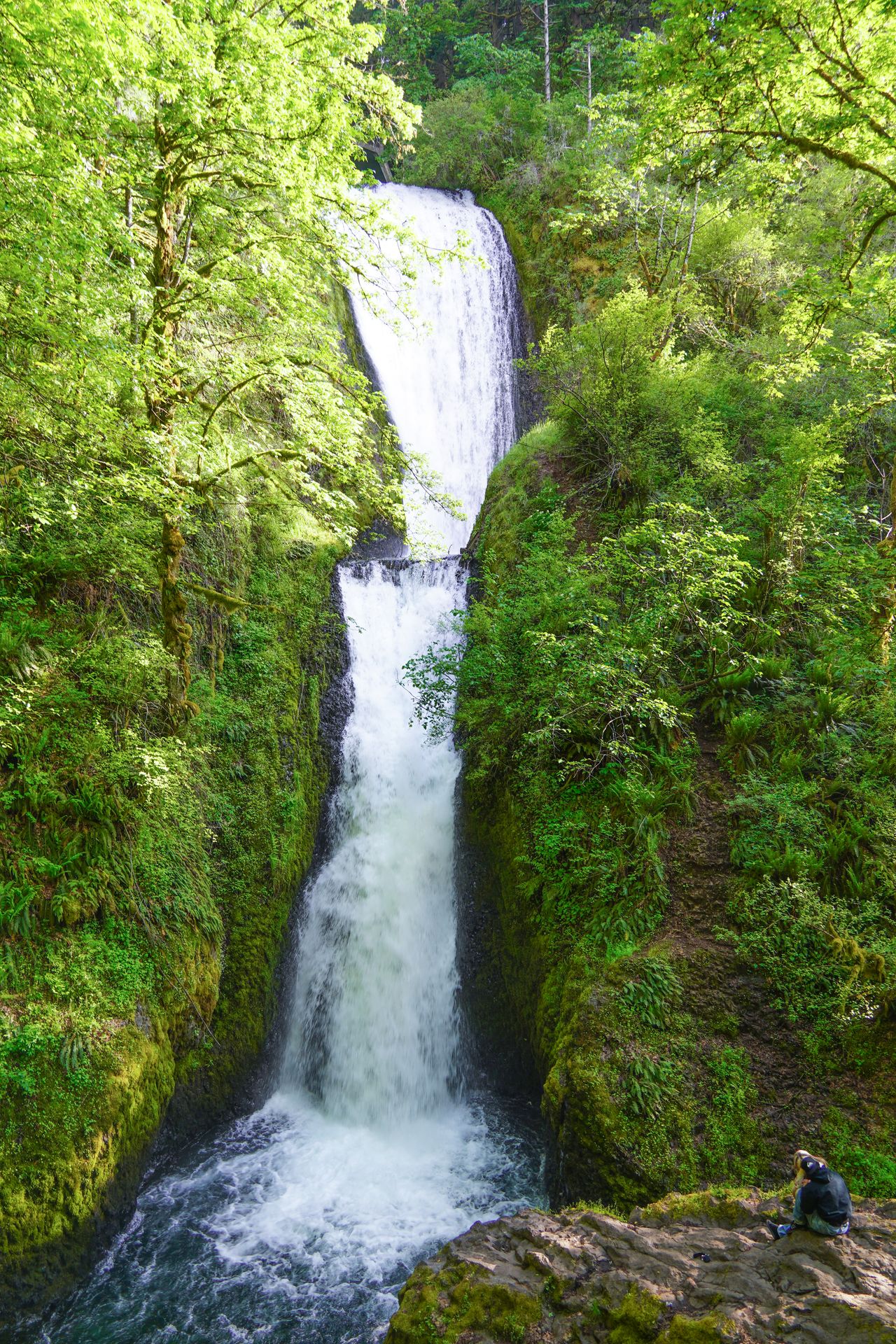 A waterfall with two tiers