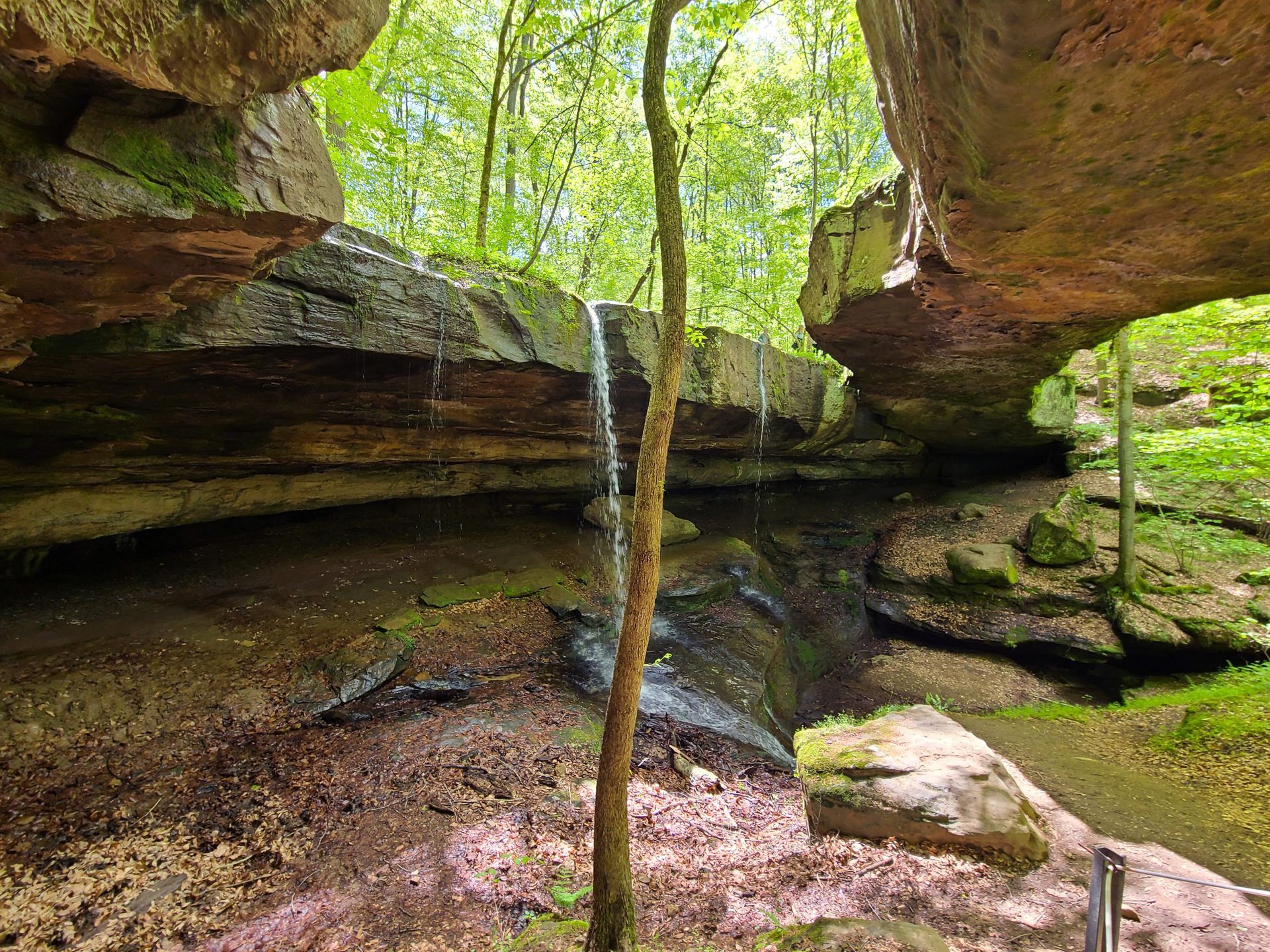 Looking at the Rockbridge Natural Bridge from below. Water trickles over a rock face next to the bridge.