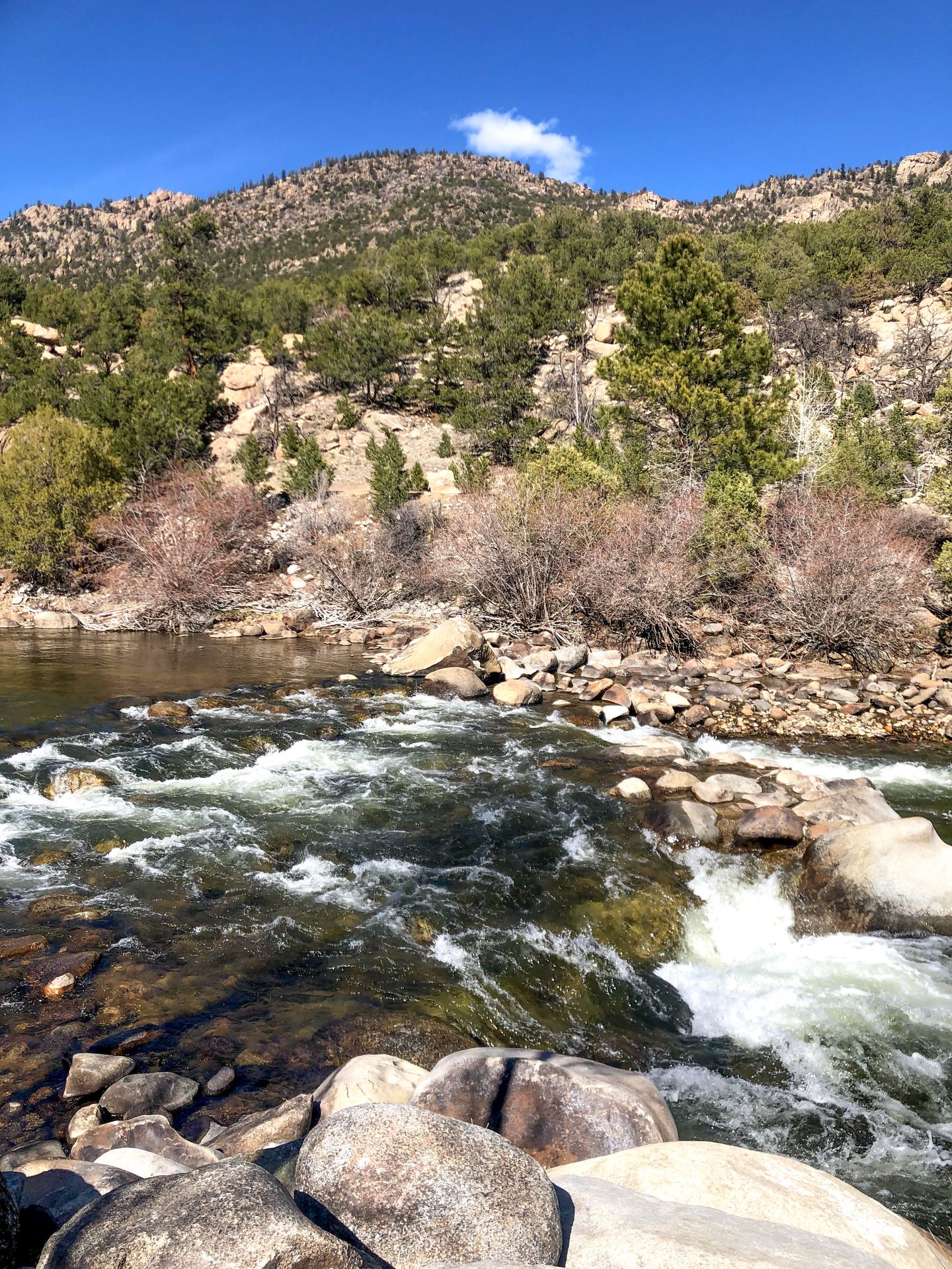 Looking across river rapids in Buena Vista.