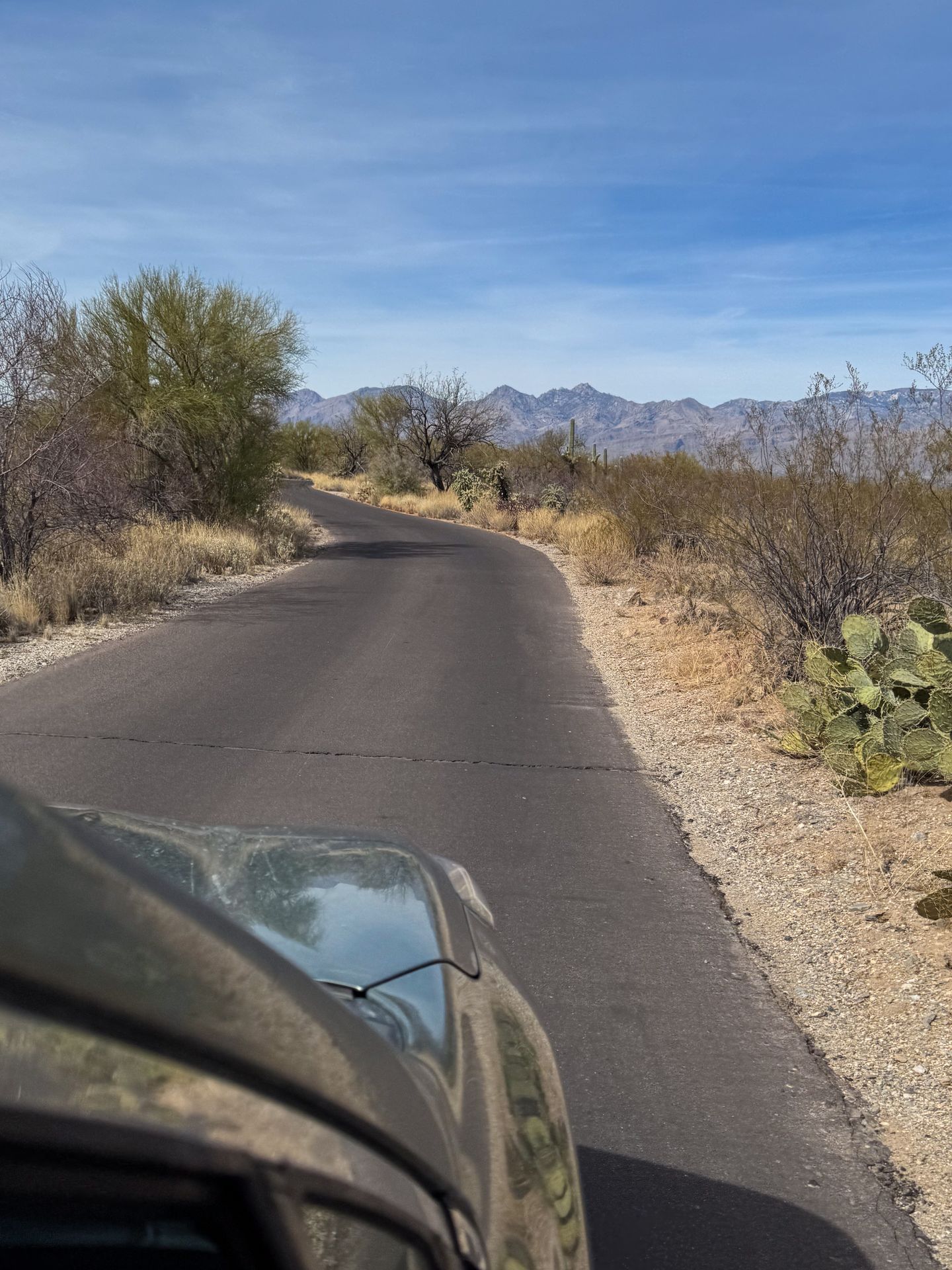 A narrow, paved road in the East side of Saguaro National Park