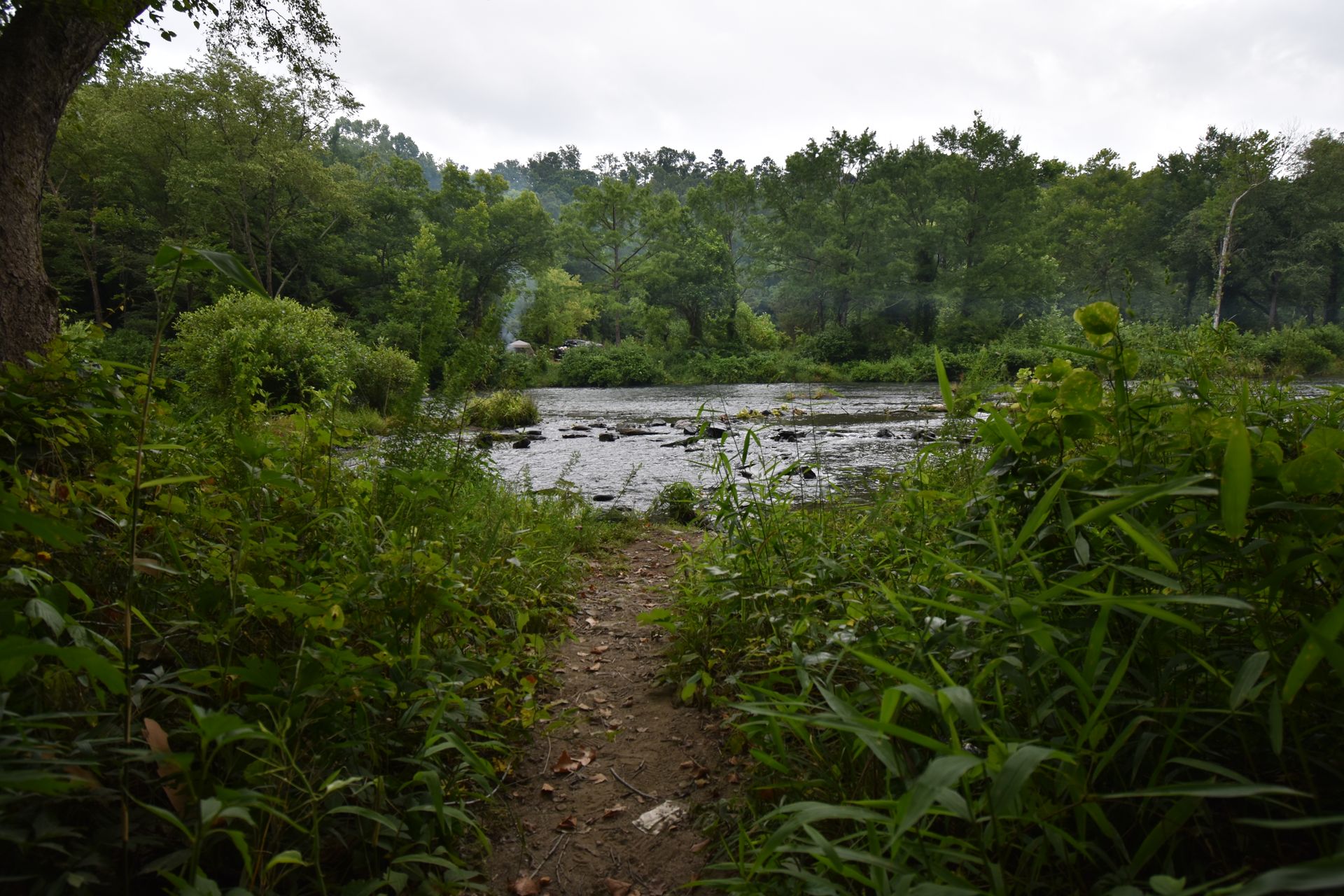 A small path leading through brush to a river.