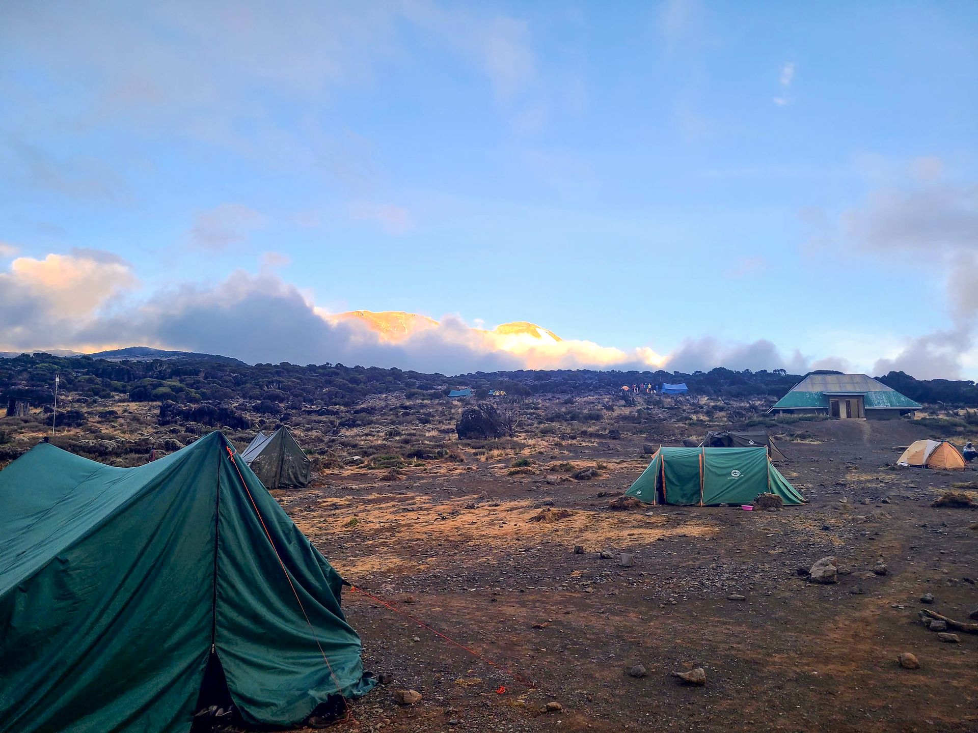A series of tents at a campground on the way up from Kilimanjaro