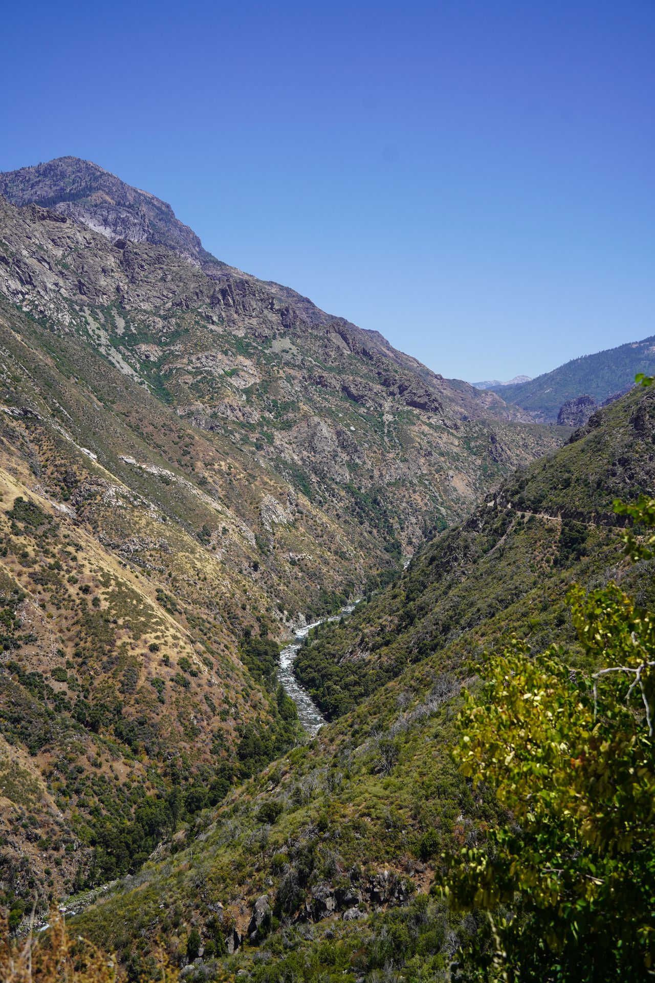 A view looking down into a deep canyon from the Kings Canyon Scenic Byway