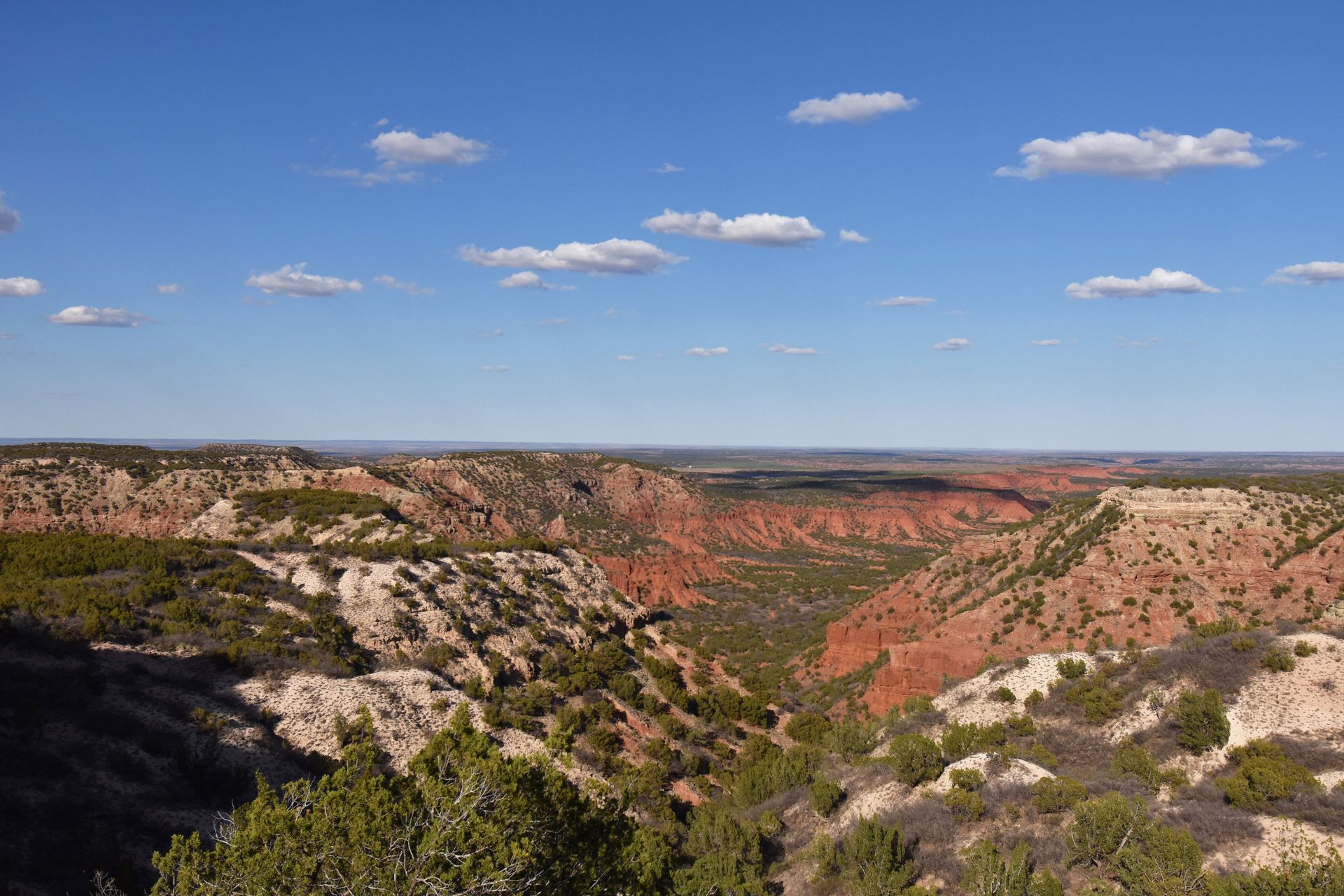 Looking out a canyon with orange and rock rocks mixed with green trees.