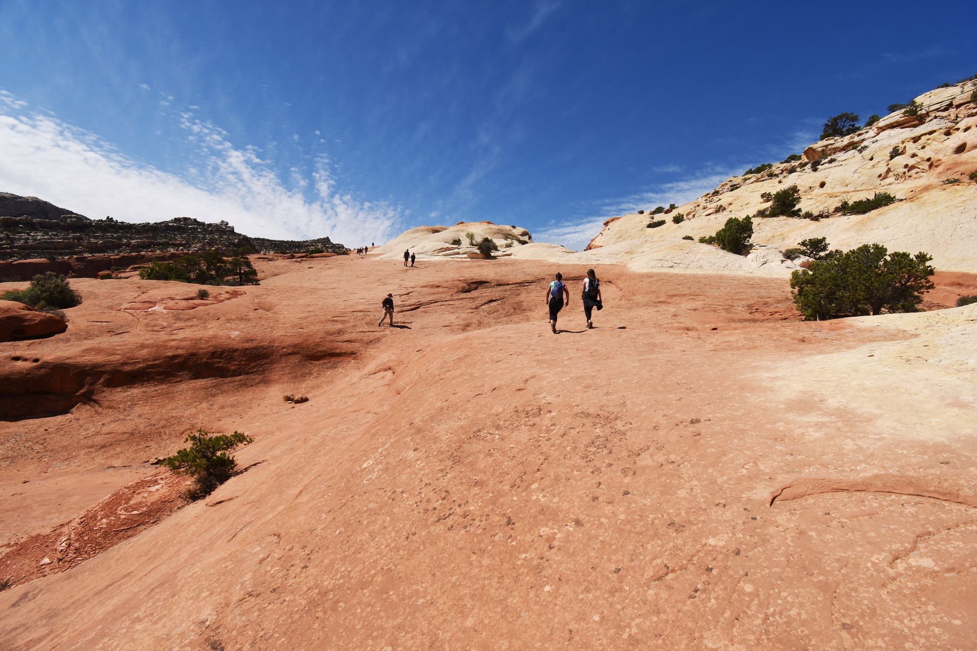 Some hikers on a large orange rock face.