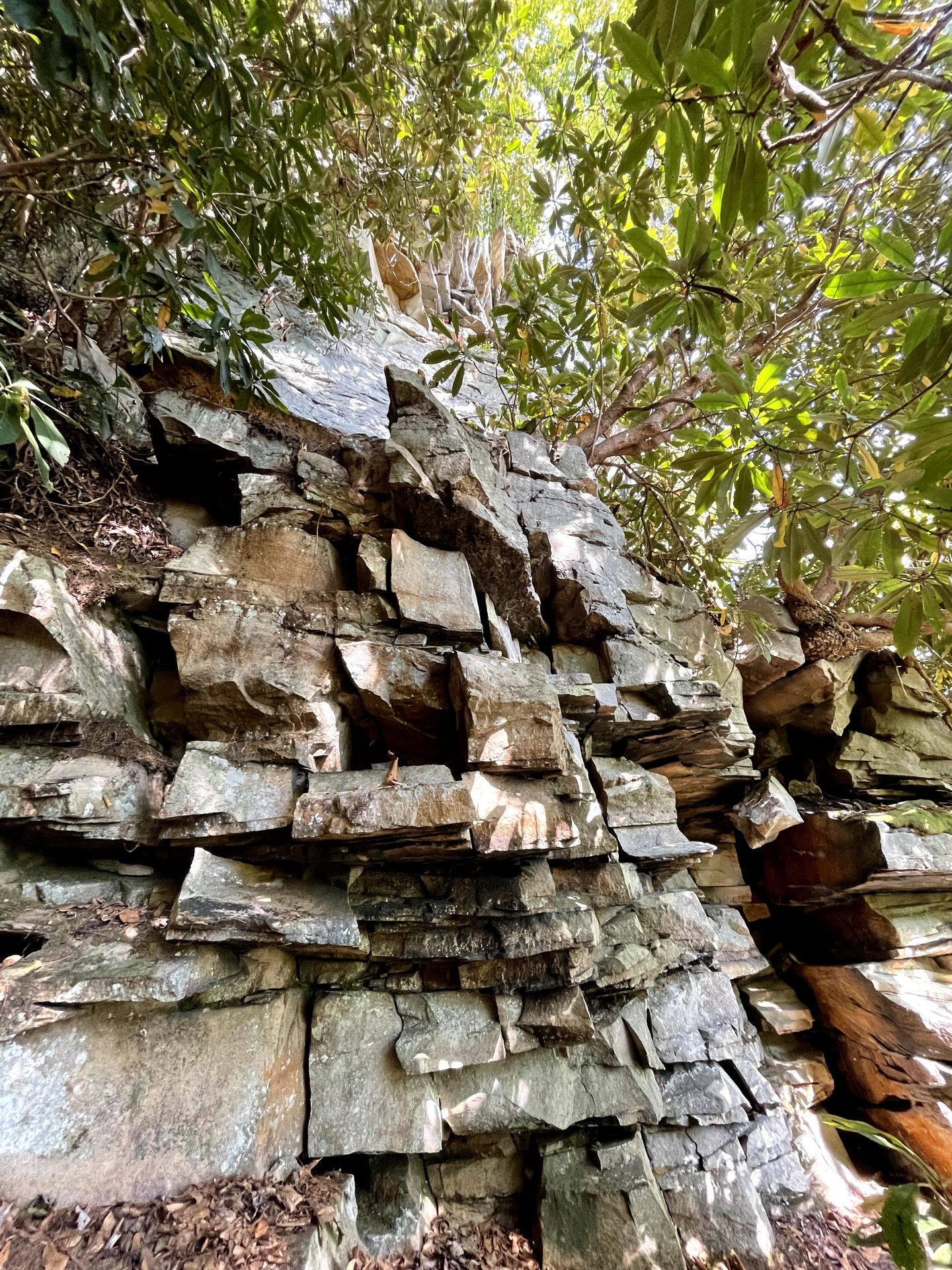 A close up view of layered rocks on the Castle Rock trail.