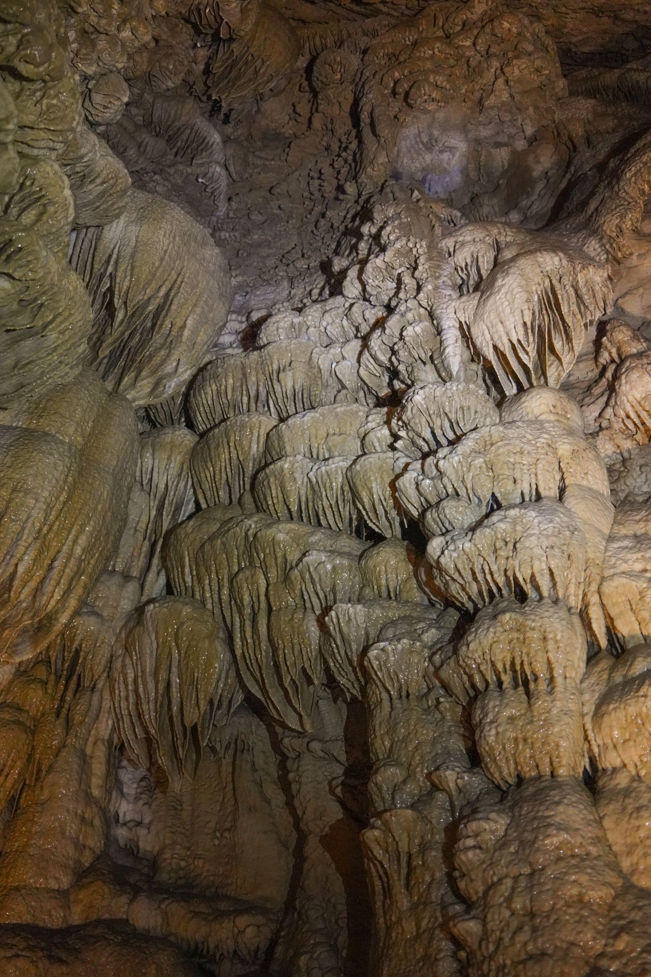 Cave formations seen on the cave tour at Oregon Caves National Monument
