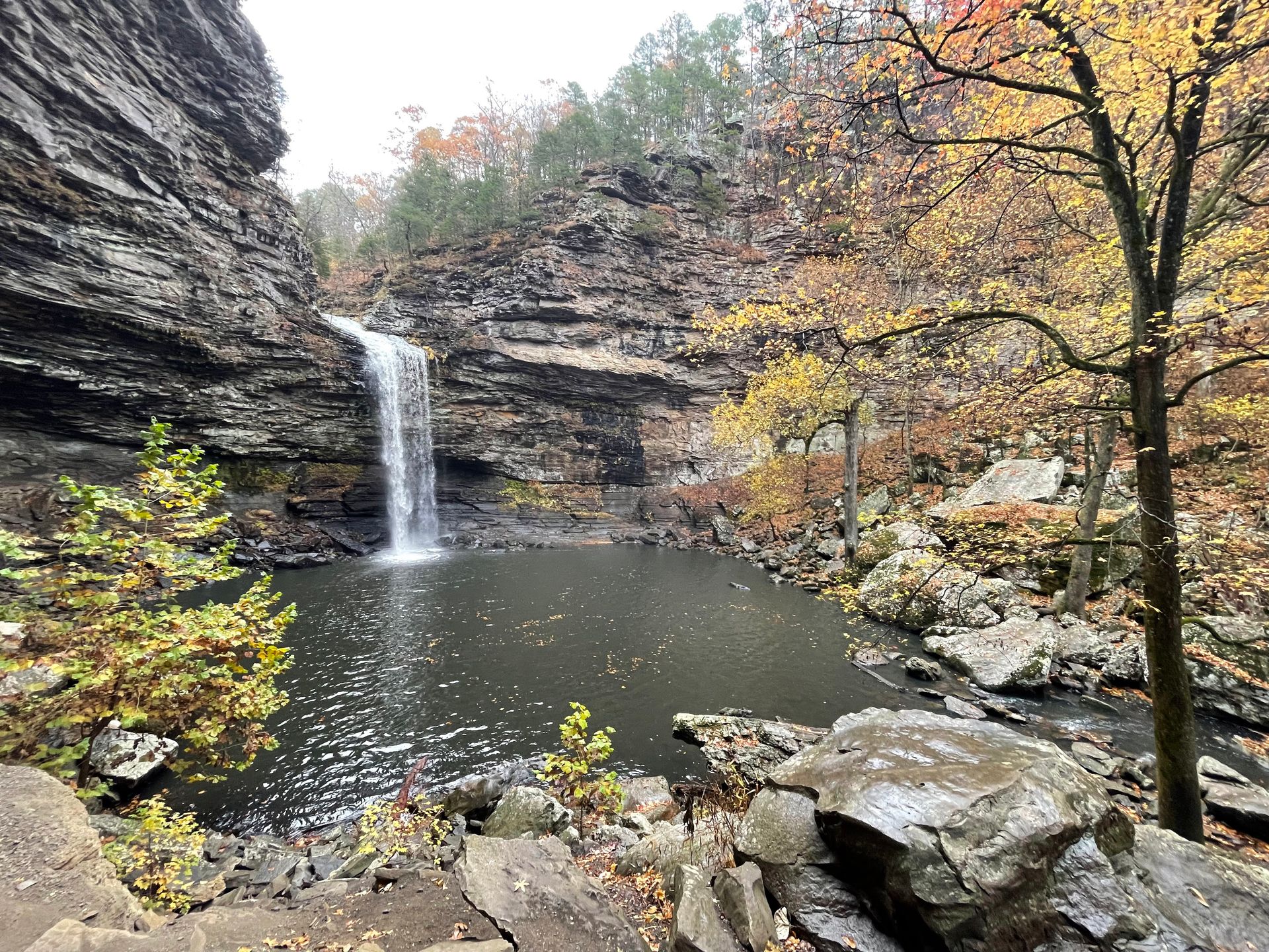 A waterfall flowing into a pool, with yellow and orange foliage nearby