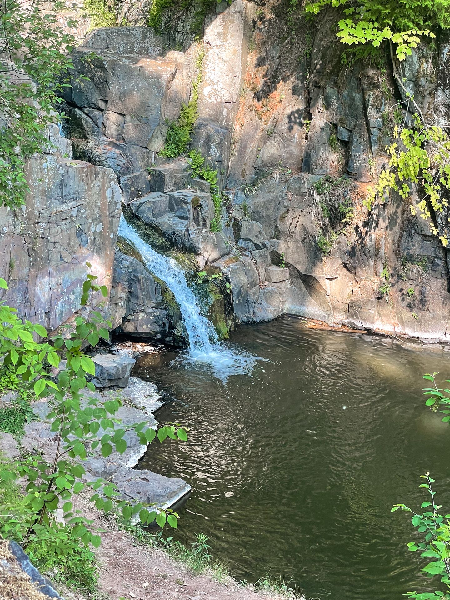 Looking down into a gorge in Chester Park. A small waterfall flows down the rocks into a pool of water.