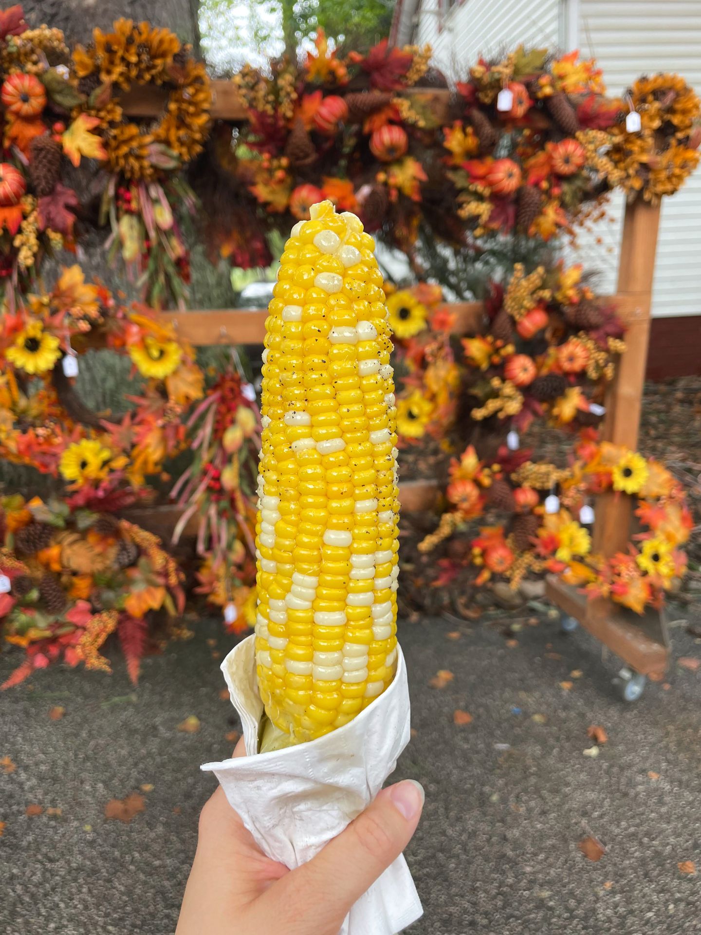 Holding up corn on the cob in front of a backdrop with orange flowers.