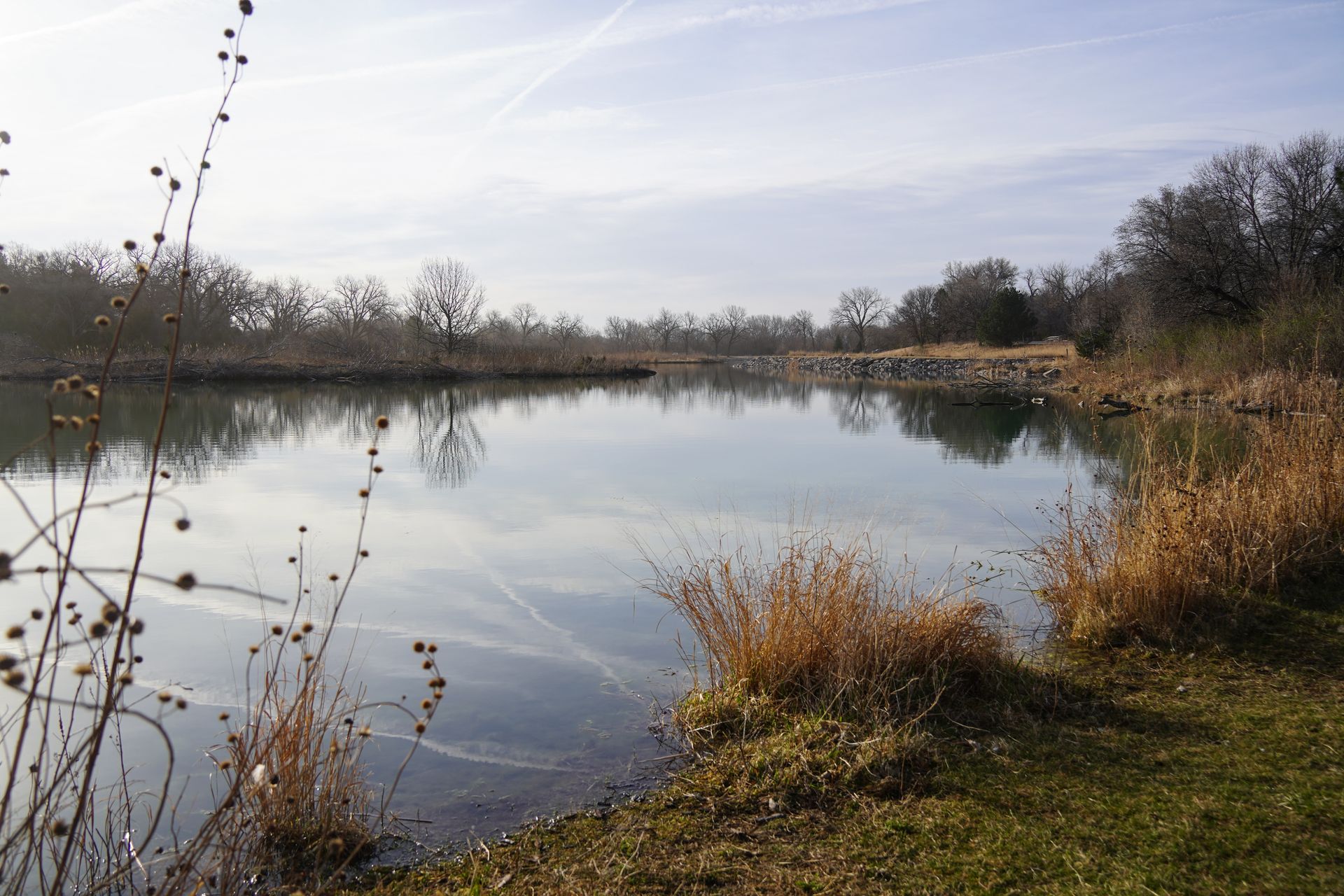 A still lake surrounded by some trees and tall grasses