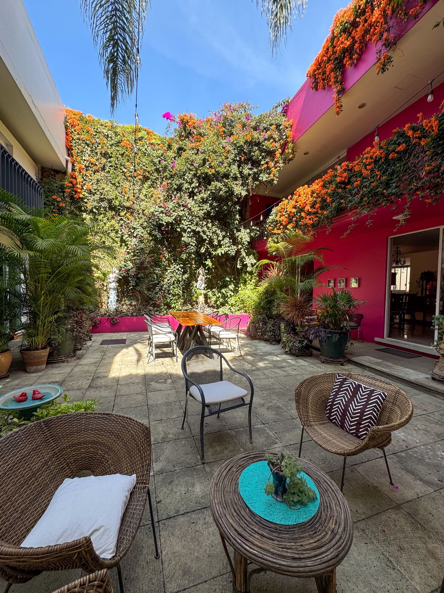 A courtyard with a pink wall and lots of plants at Casa de Las Bugambilias B&B
