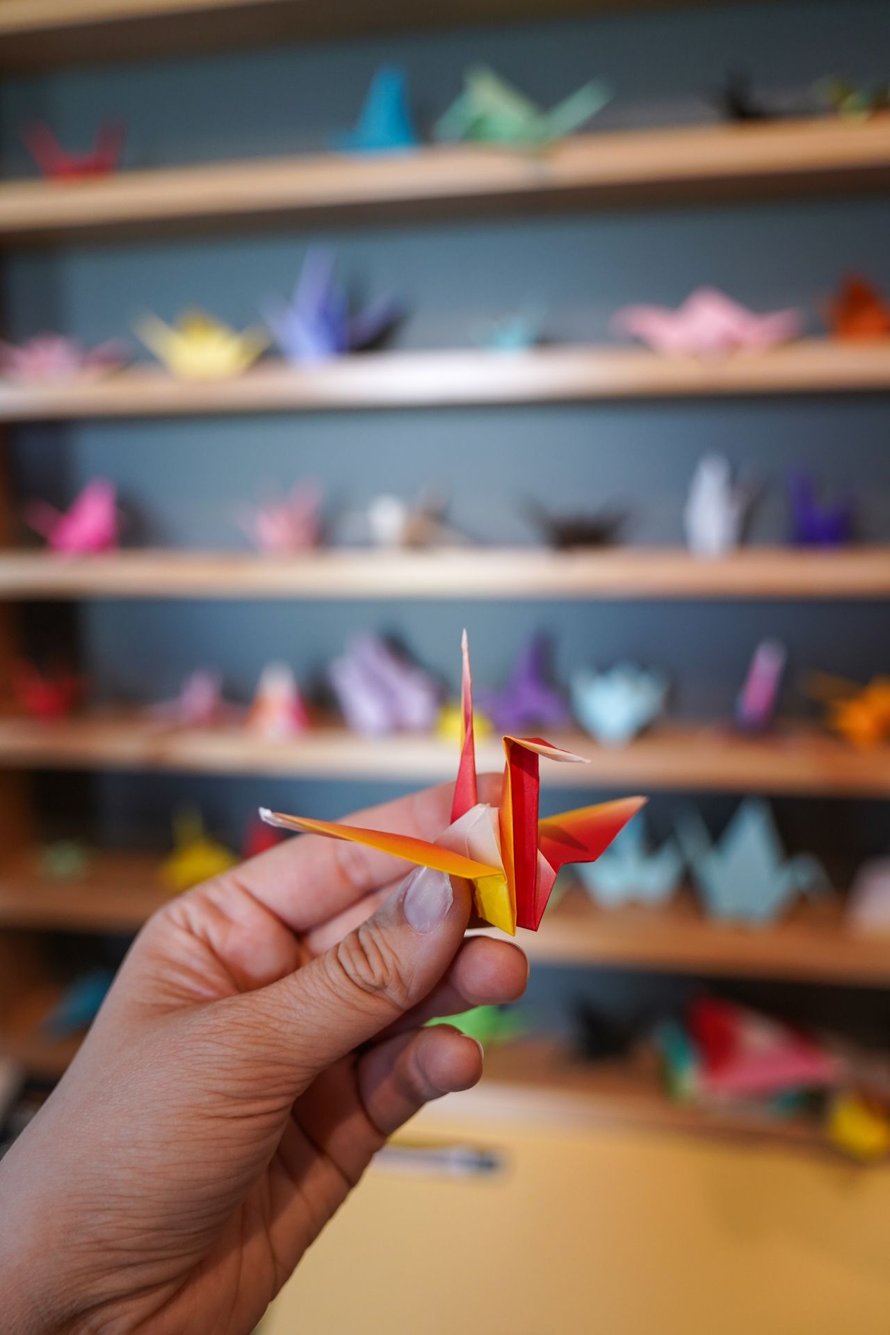 Holding up a red and yellow folded crane with more cranes on shelves in the background