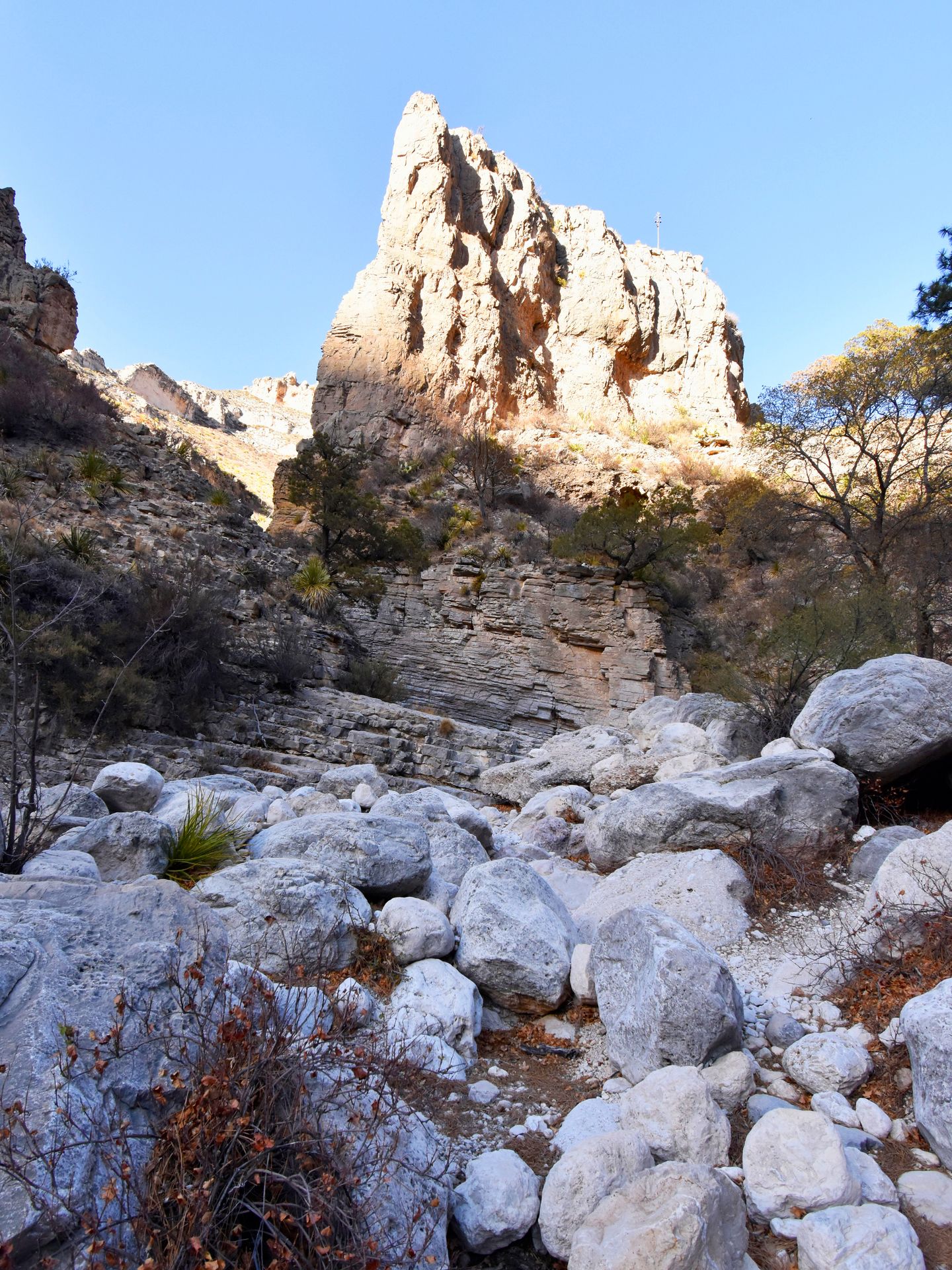 Rocks in the wash on the Devil's Hall trail with a mountain in the background.