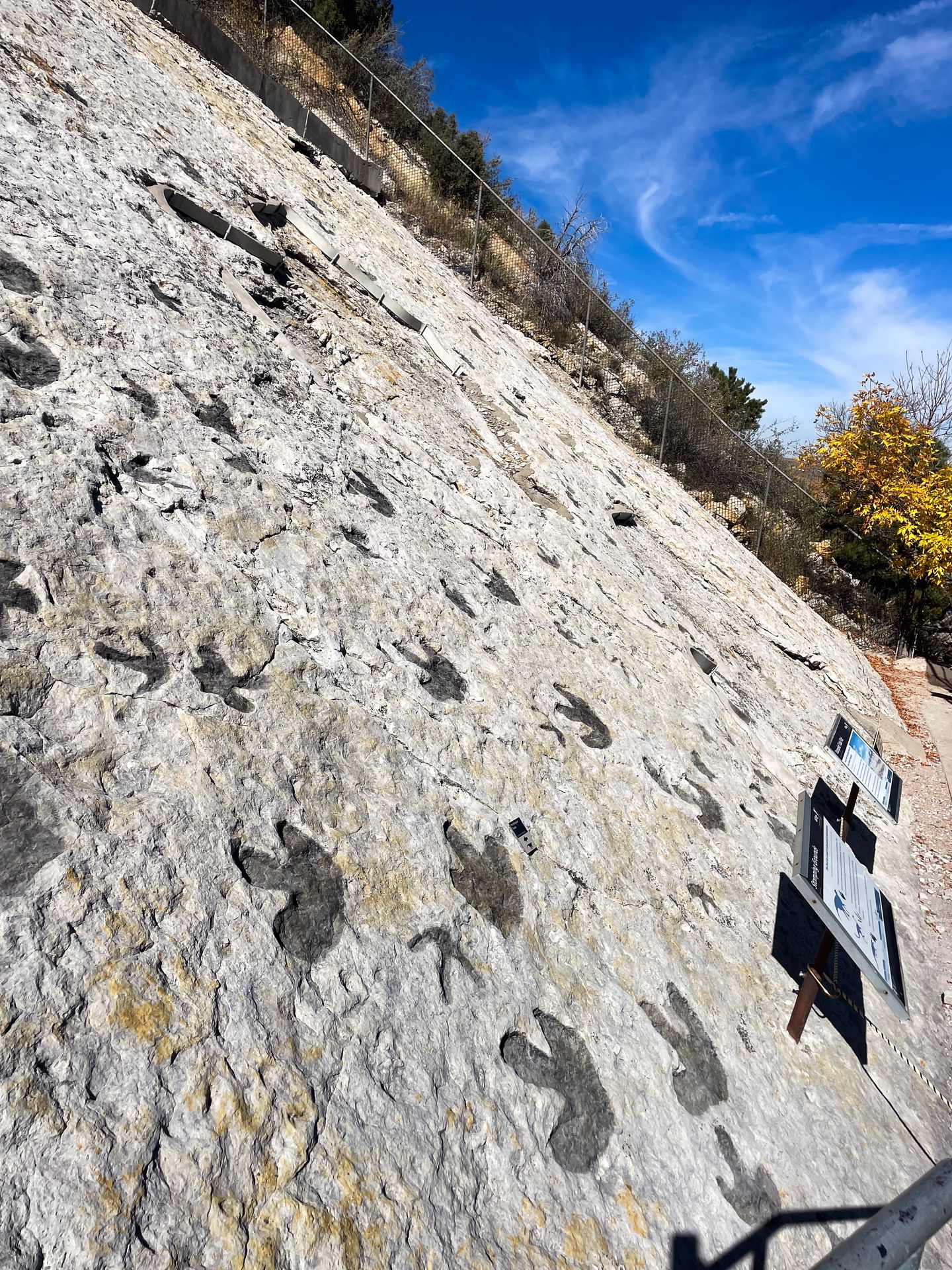 An area with many dinosaur tracks on a slanted rock