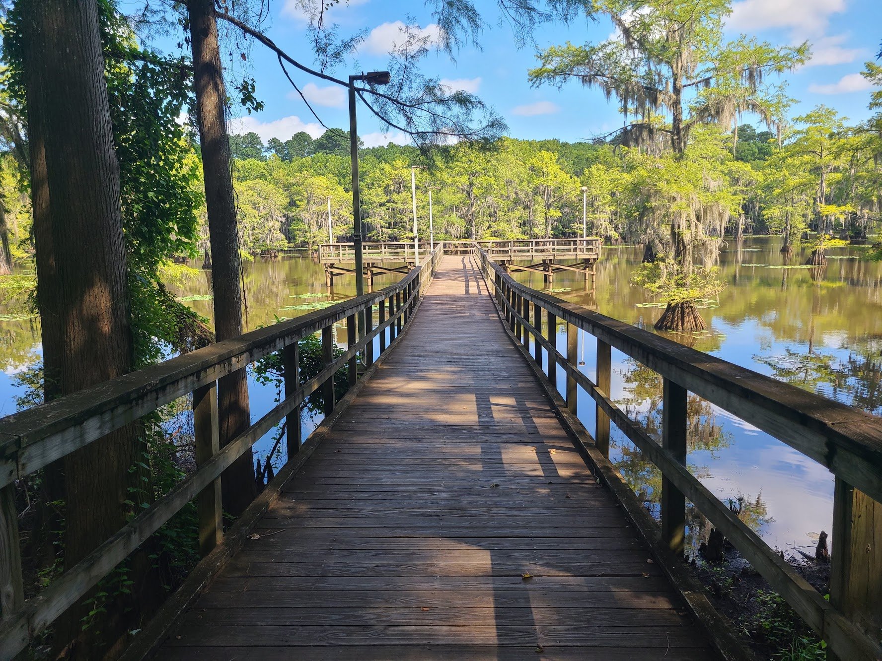 Looking out at the dock on Mill Pond. A wide wooden platform extends out over the water.