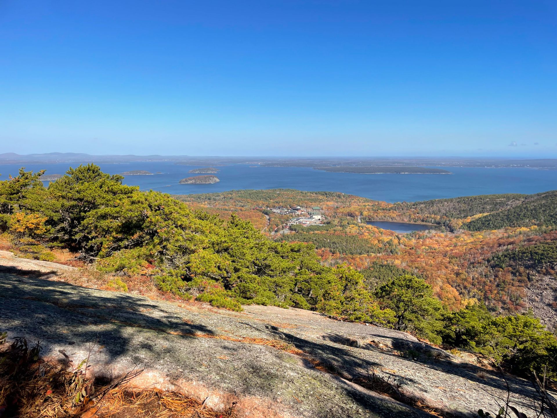 Looking out at the ocean and trees from the peak of Dorr Mountain