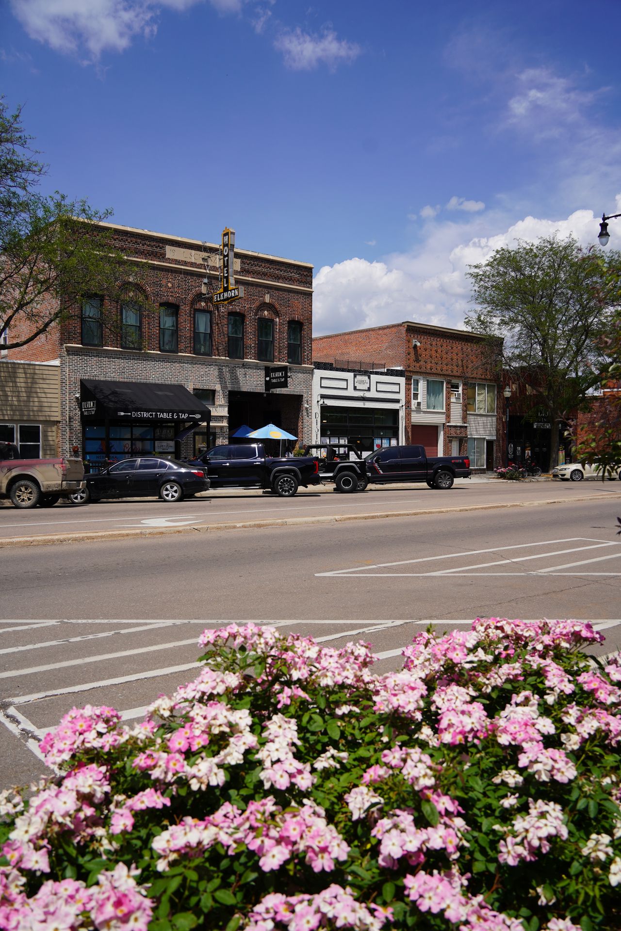 Looking across the street at brick buildings and businesses, with pink flowers in the foreground