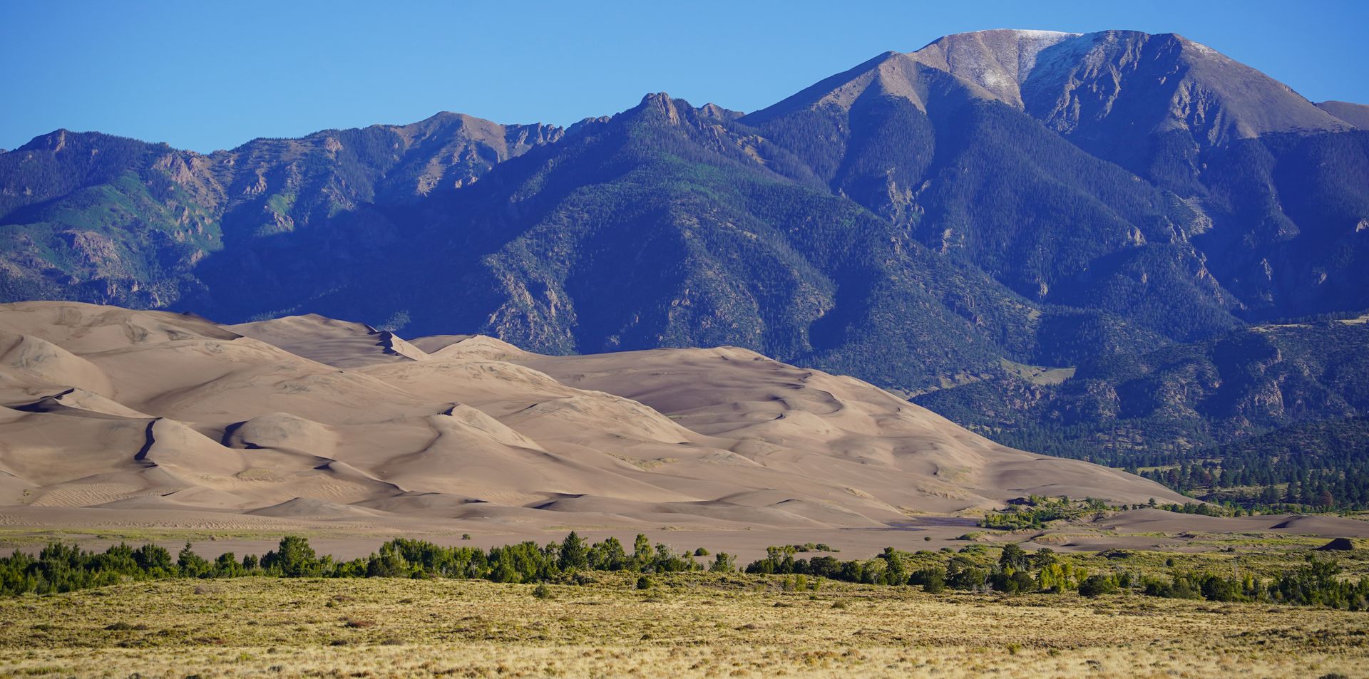 Banner Alt Text