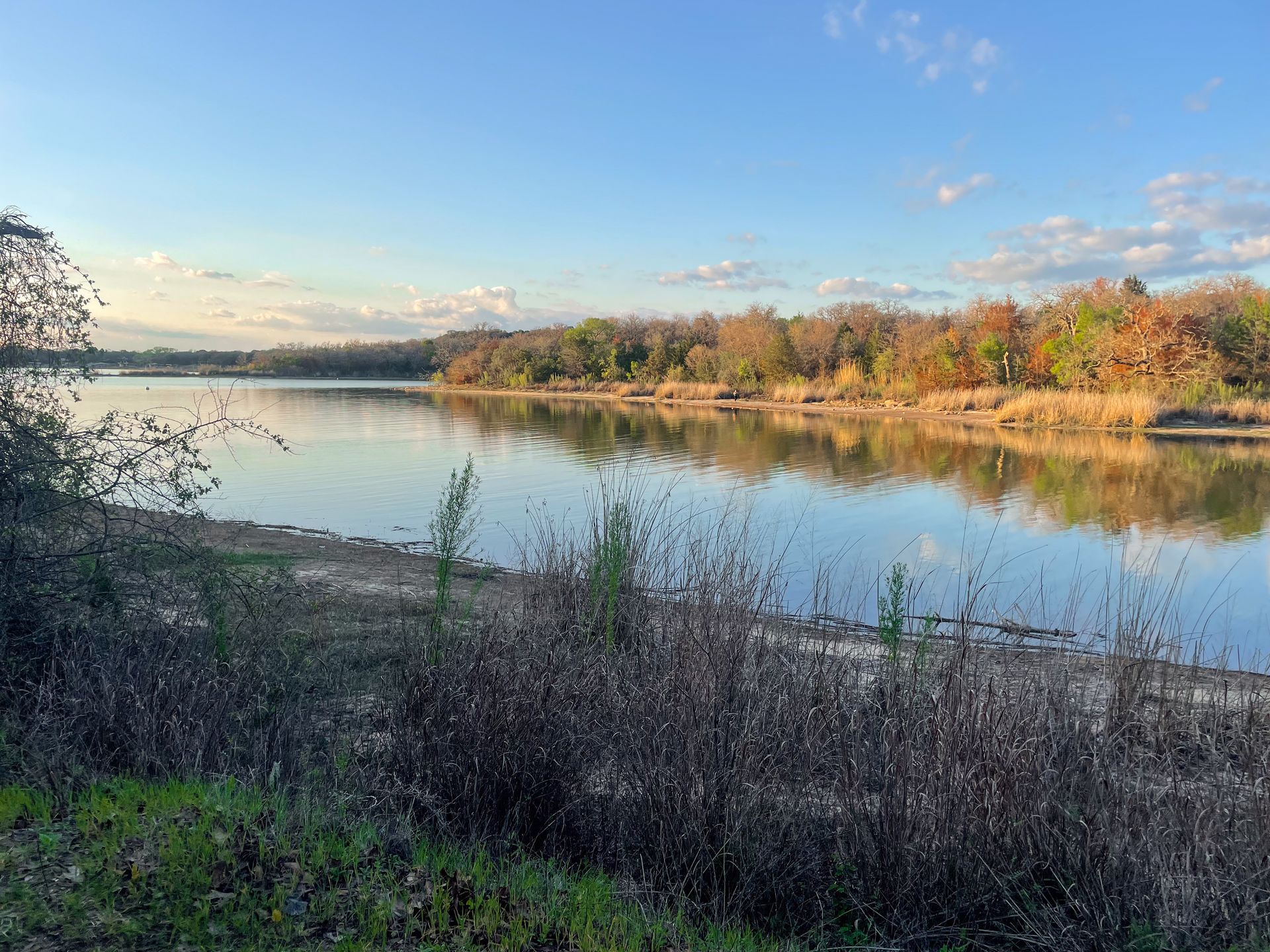 A view of Eagle Mountain Lake. Trees are reflected in the still water