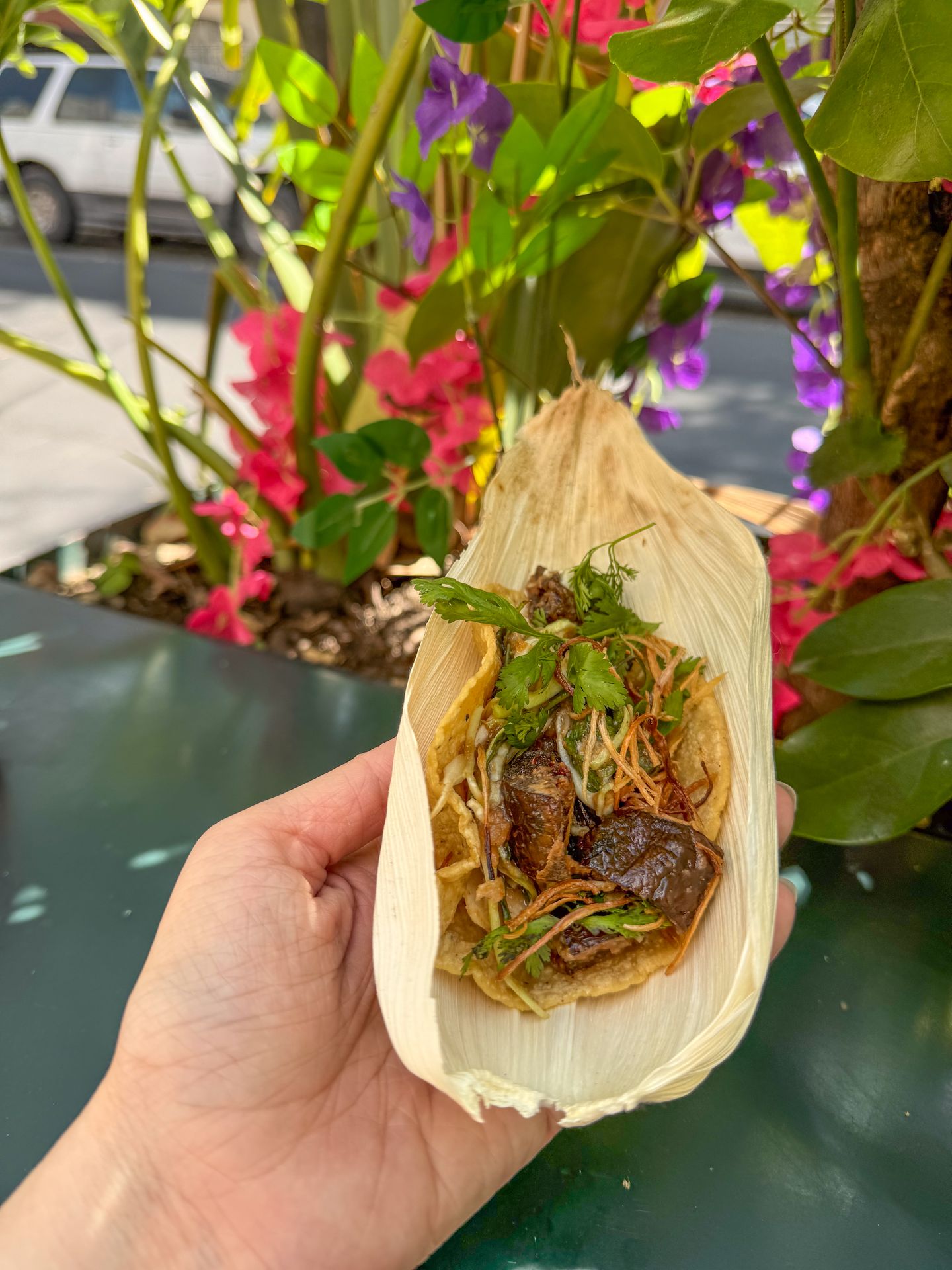 Holding up a taco with eggplant