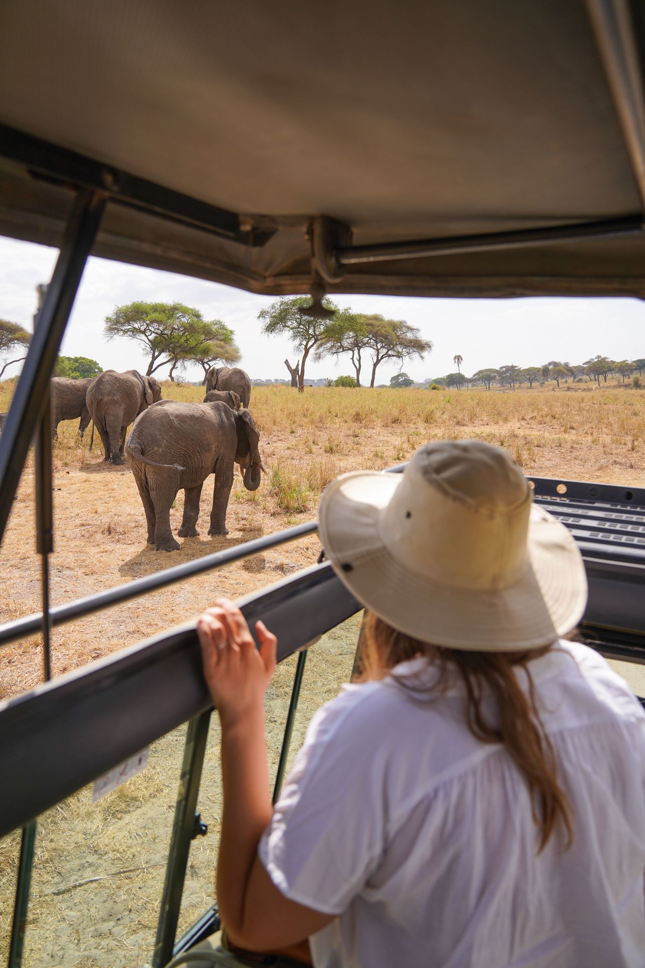 Lydia looking at elephants from the safari vehicle