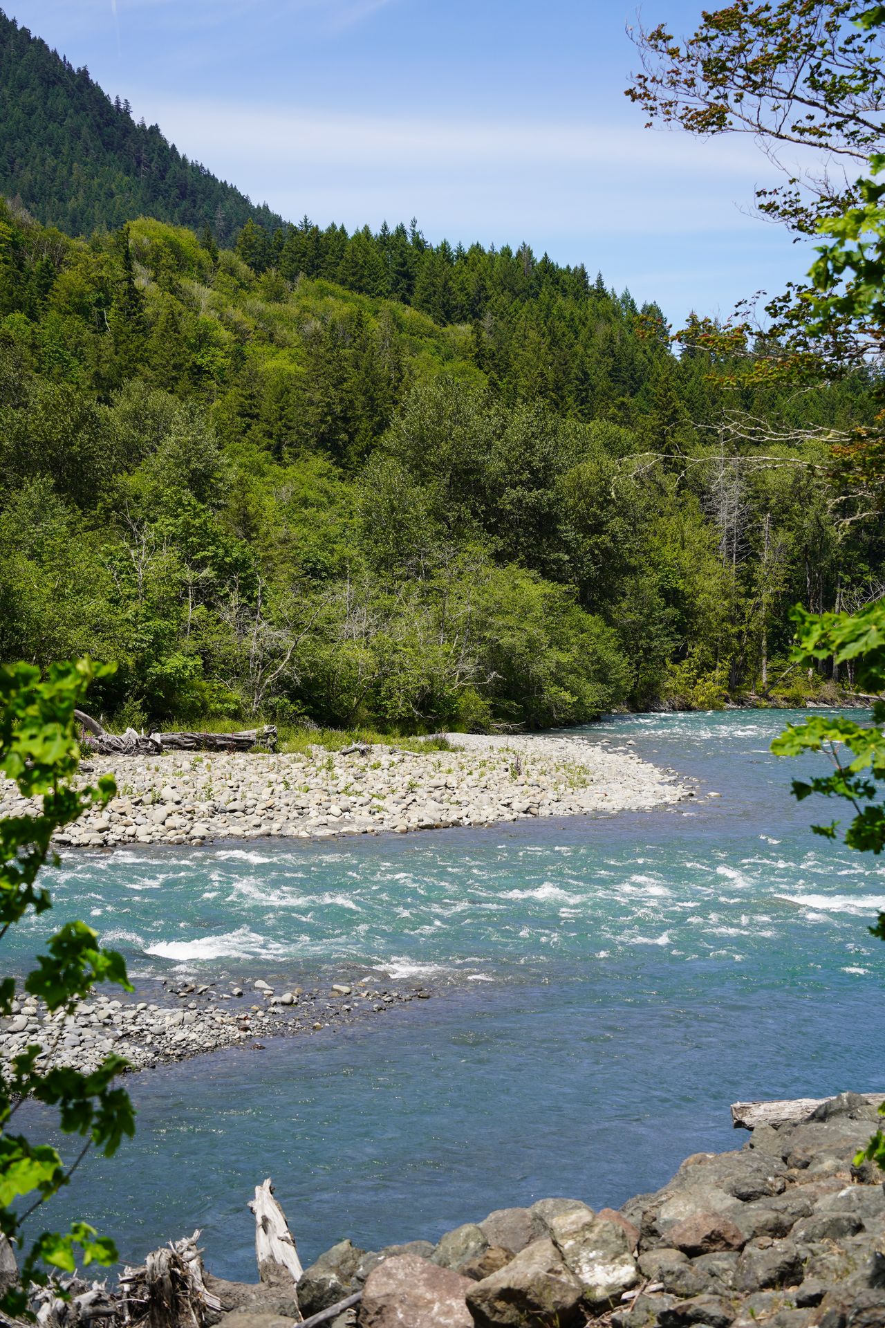 A wide, blue river surrounded by trees on both sides