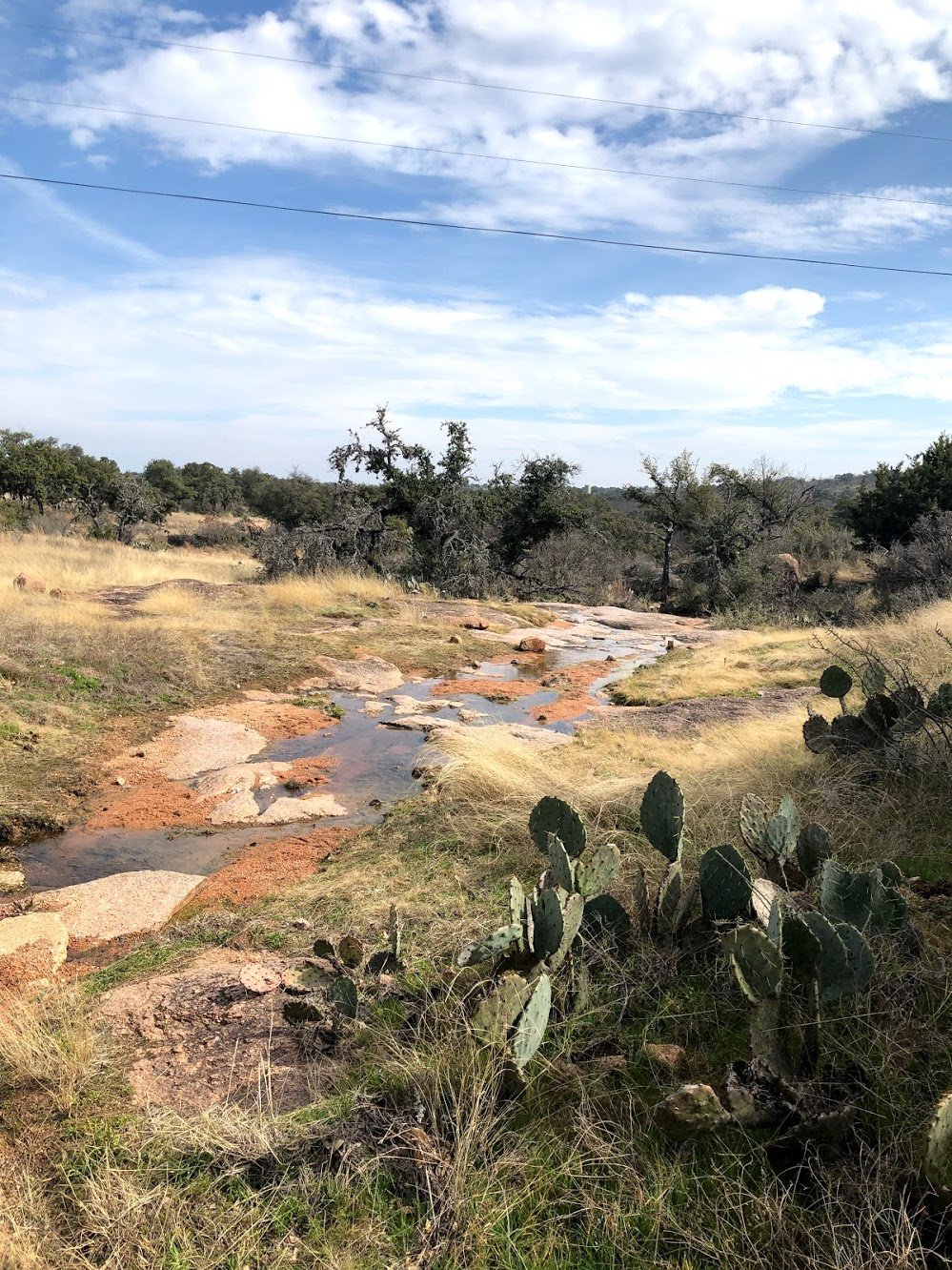 A pink rock path surrounded by tall grass and cacti at Enchanted Rock.