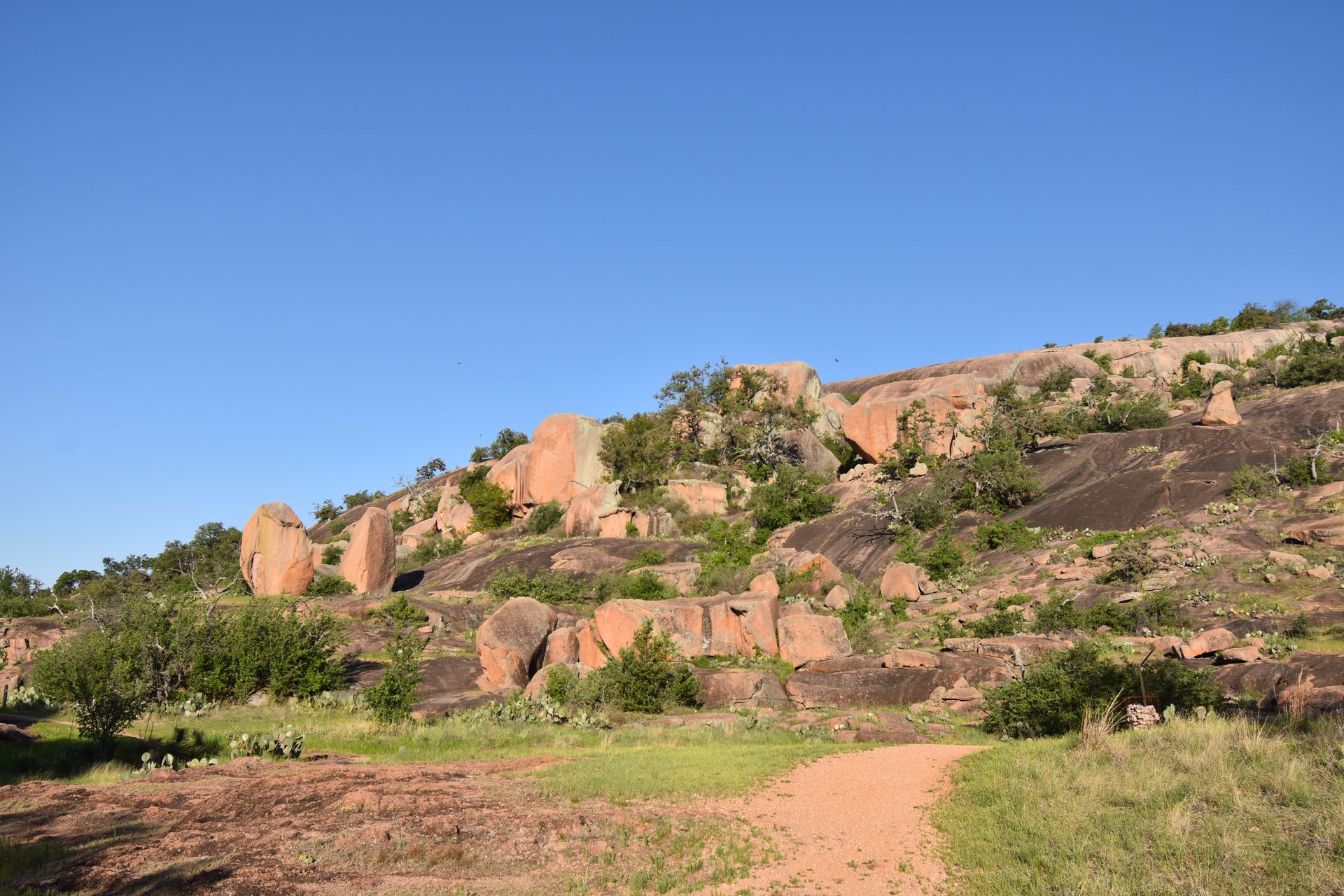 A pile of pink rocks rising up from a flat area at Enchanted Rock State Park. There is greenery and some cacti surrounding the pink rocks.