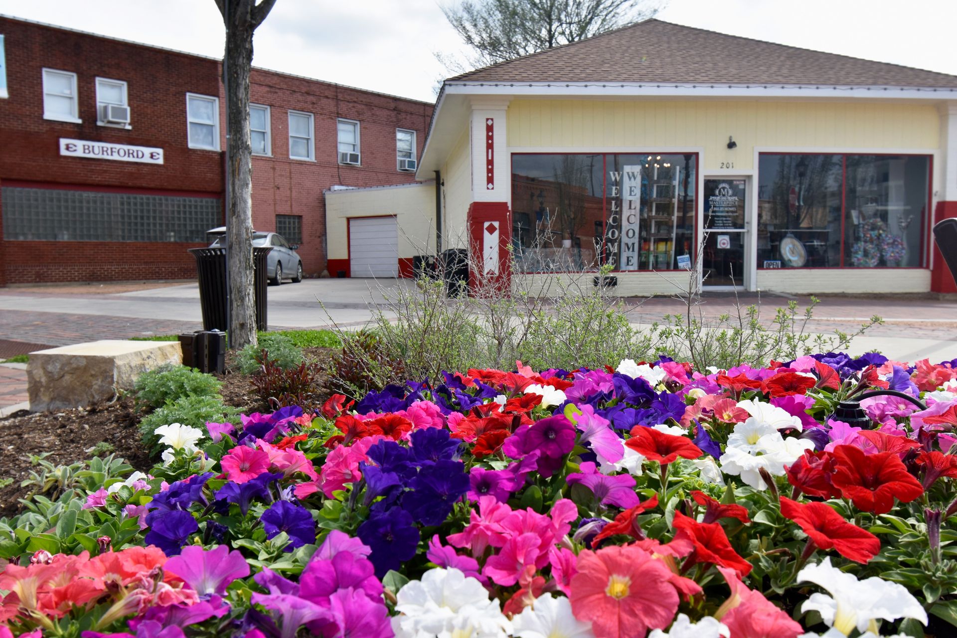 A close up view of red, pink, red and white flowers with a shop in downtown Ennis in the background.