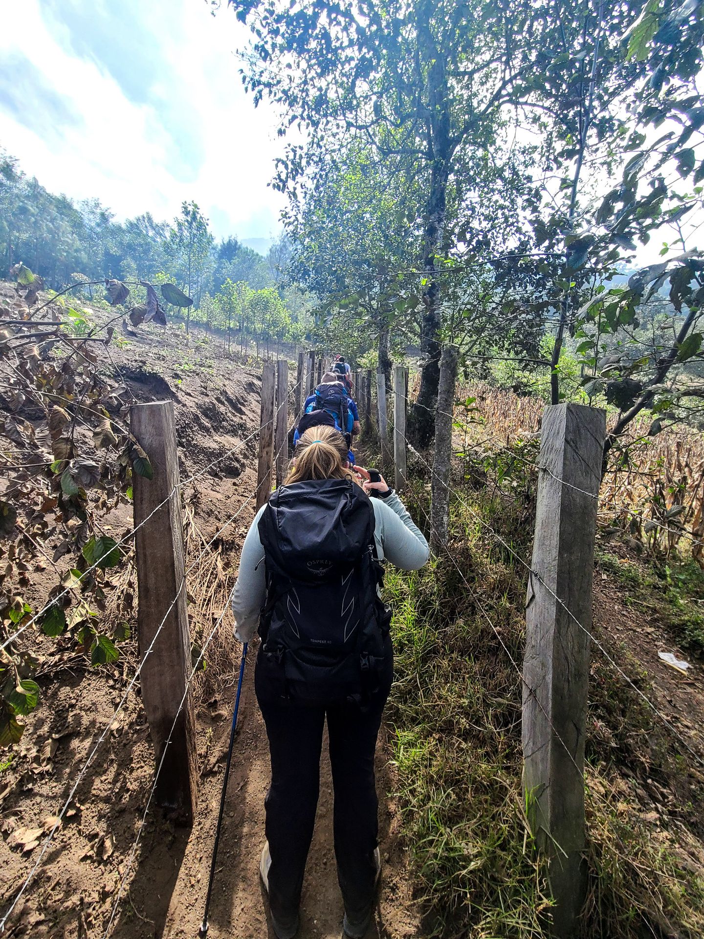 Lydia hiking up a narrow section between barbed wire fences and farms at the beginning of the Acatenango hike