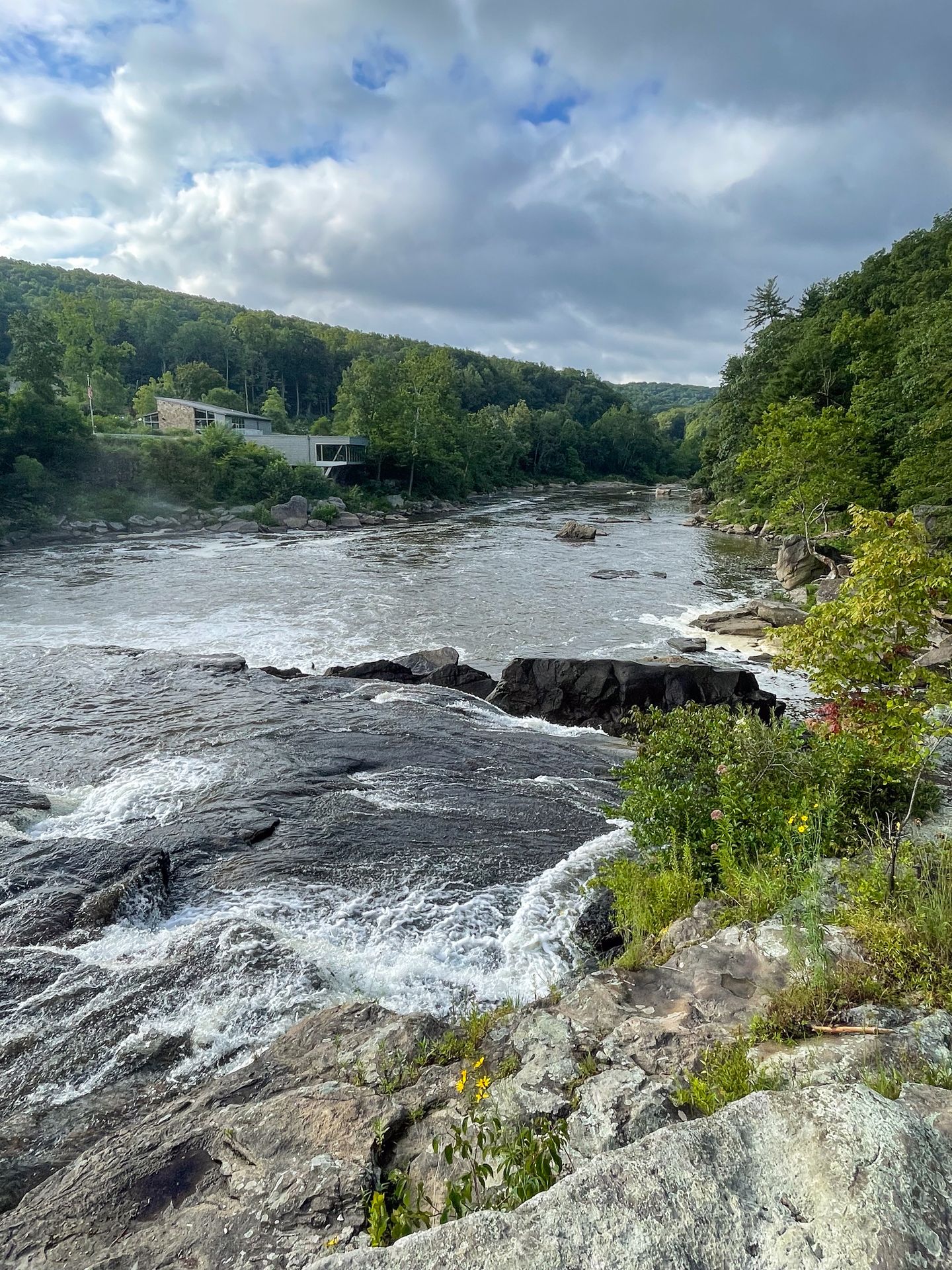 A view of a river surrounded by green trees on the Ferncliff Trail.