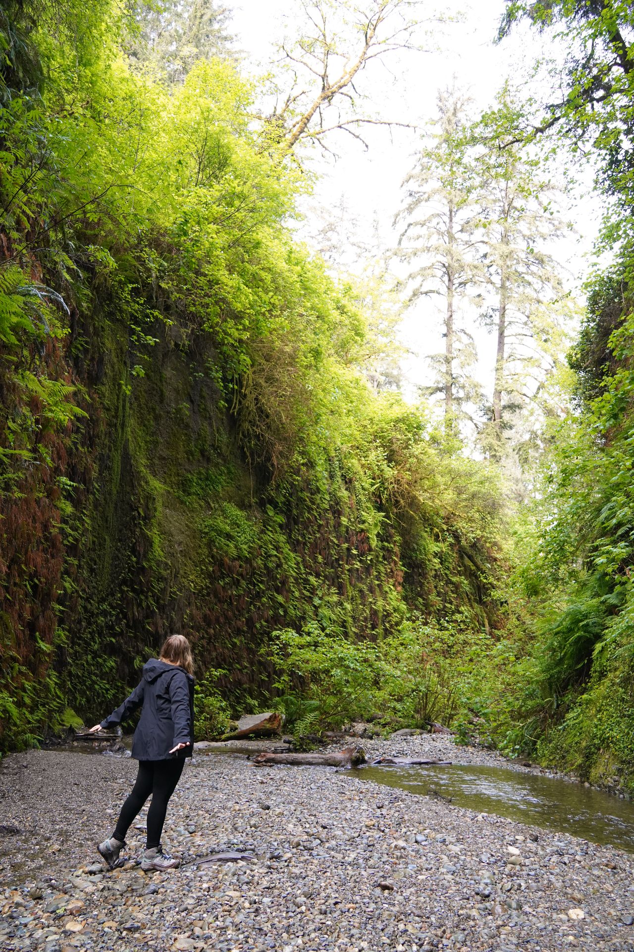 Lydia standing inside Fern Canyon, which has walls covered in greenery