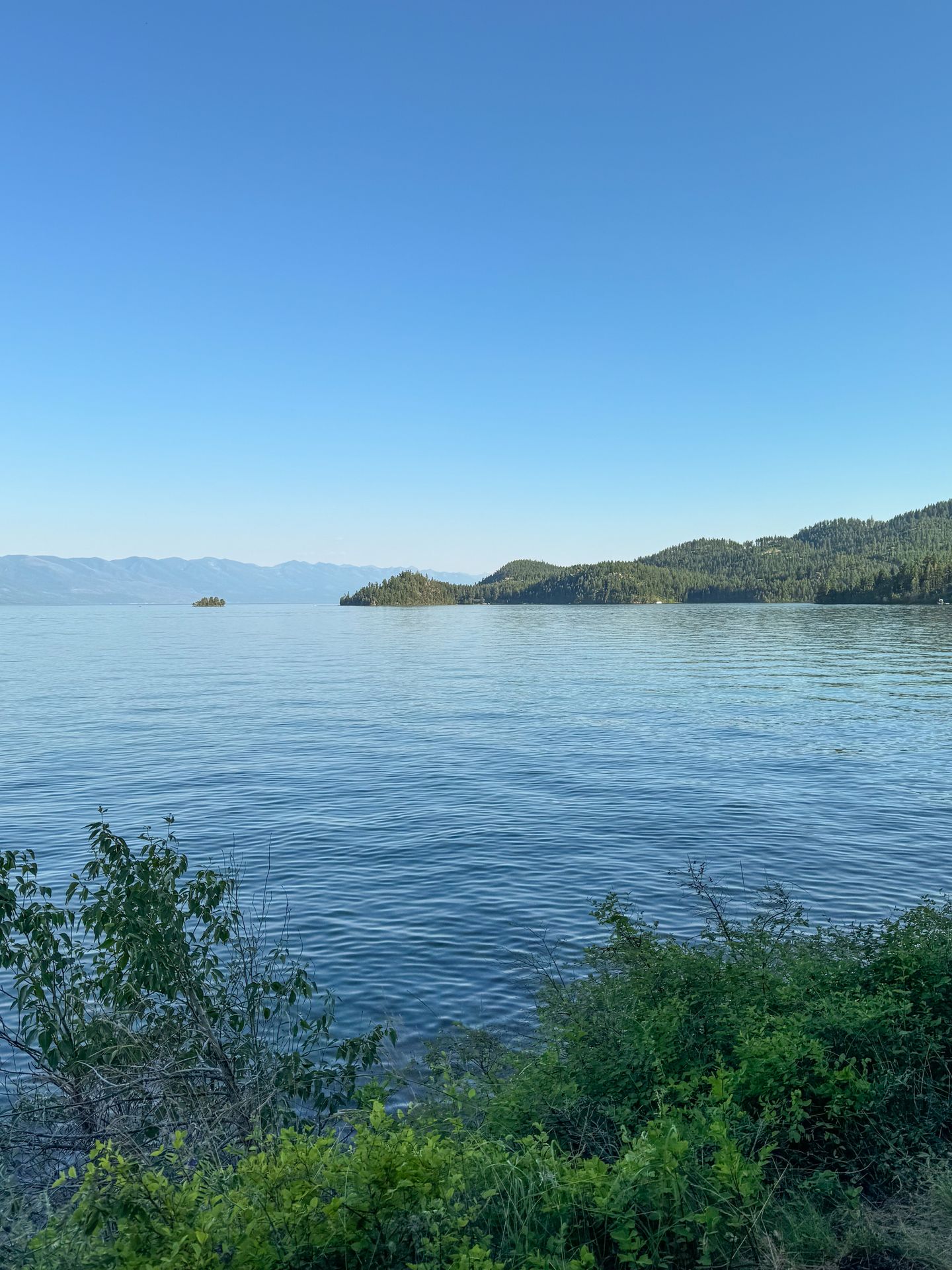 Looking out at Flathead Lake. There is a small island in the distance.