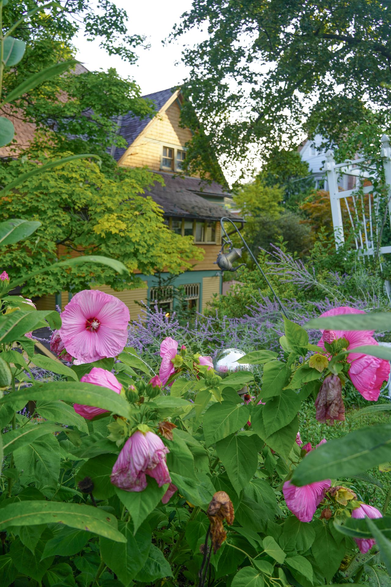 Pink flowers in front of The Queen Bed & Breakfast