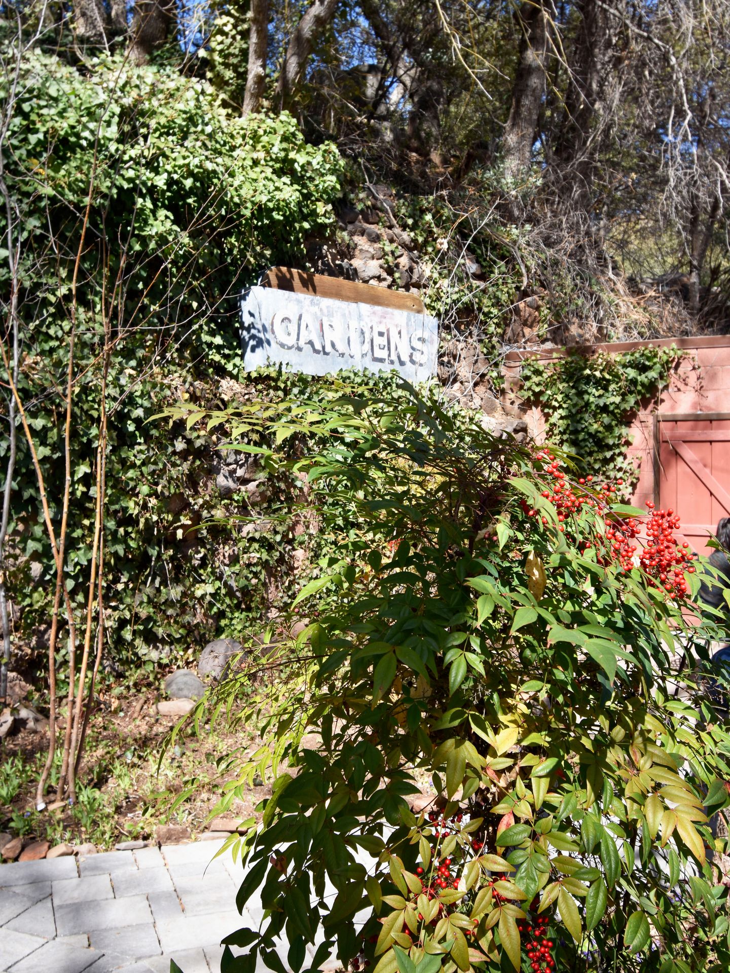 A wall covered in vines and greenery with a small sign that reads "Gardens" surrounded by the plants.