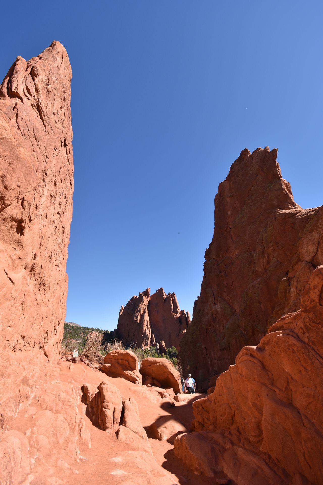 Several large, orange rock formations sticking up out of the ground.