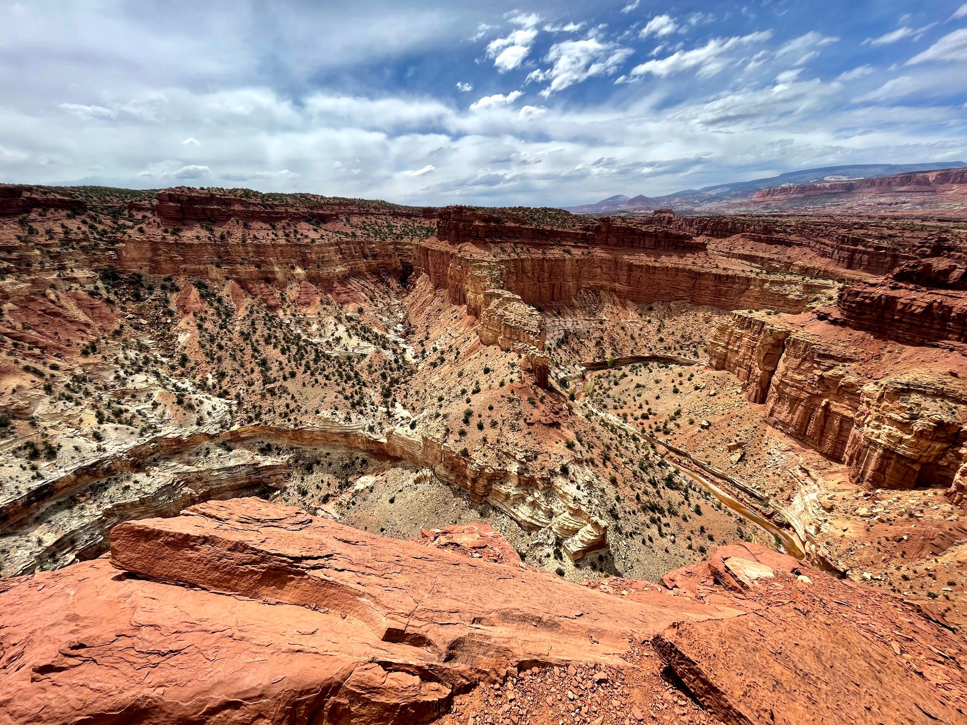 A curved gorge that resembles a S is surrounded by orange cliffs. This is the views at the Goosenecks Overlook.