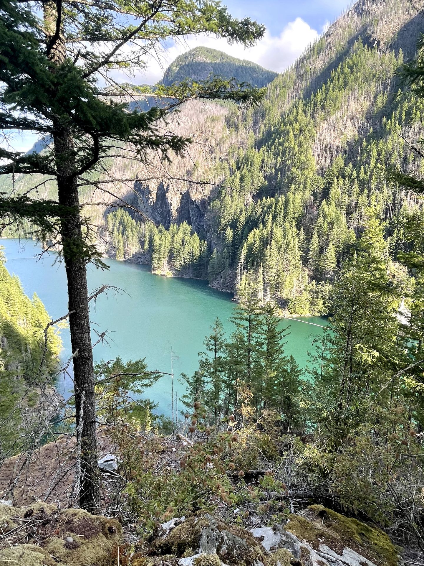 A view looking down at the deep green Skagit River.