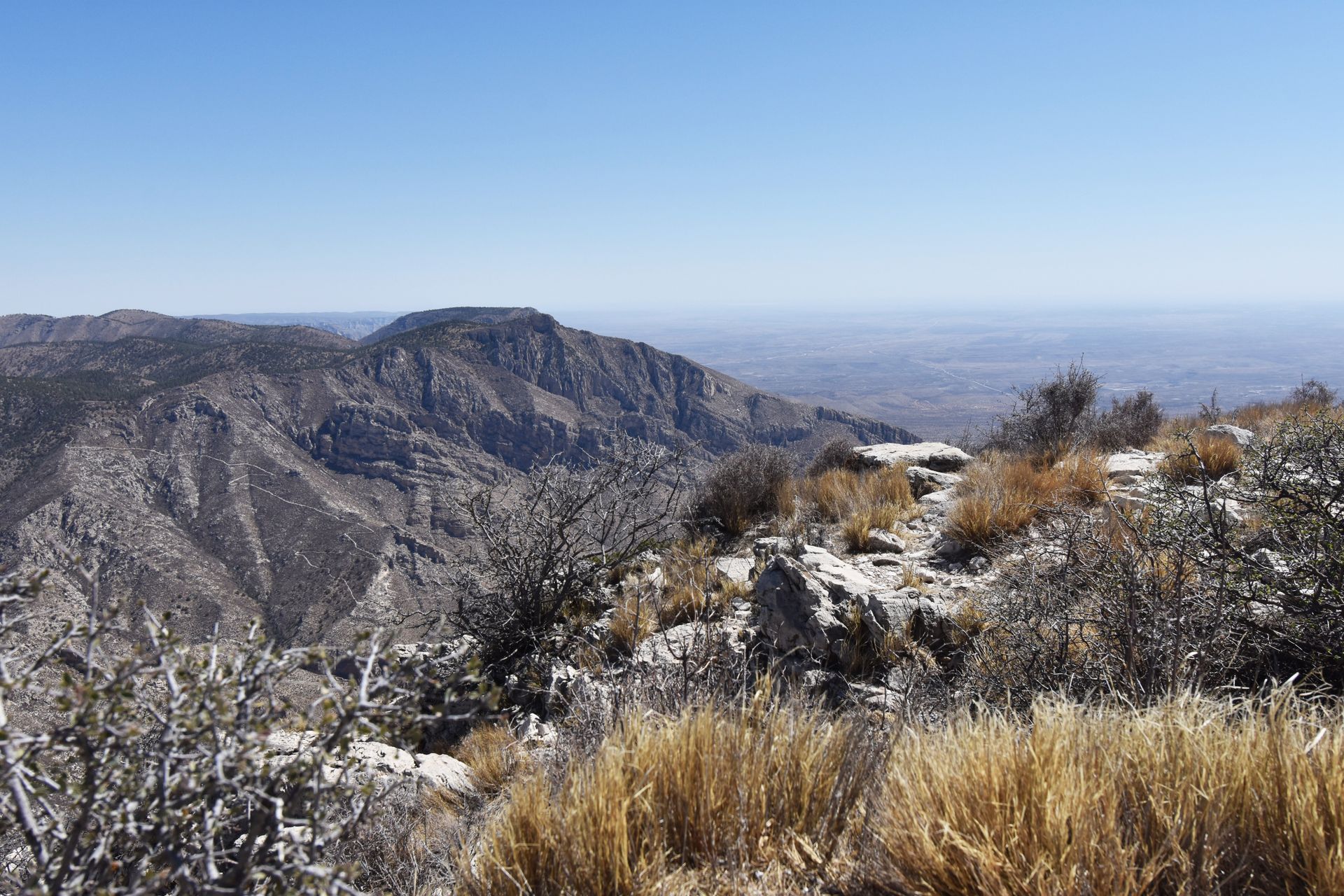 A view of a mountain in the distance with expansive desert views behind it. There are yellow desert plants on the mountain nearby.