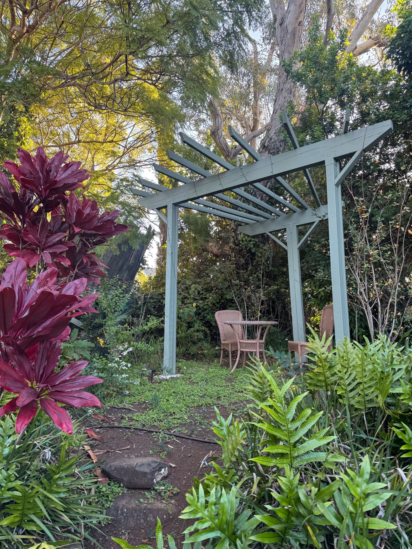 An outdoor seating area surrounded by greenery in Makawao