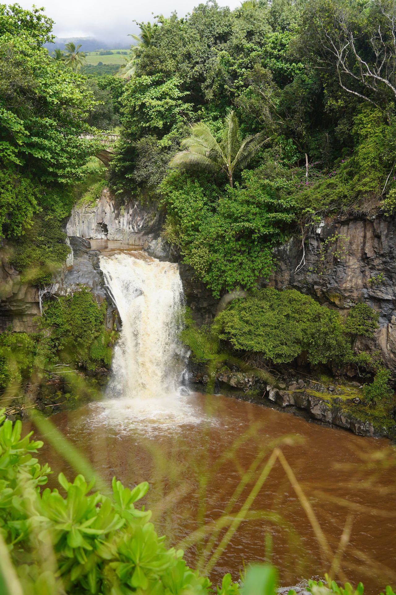 A waterfall flowing into a pool of brown water, with greenery in the foreground