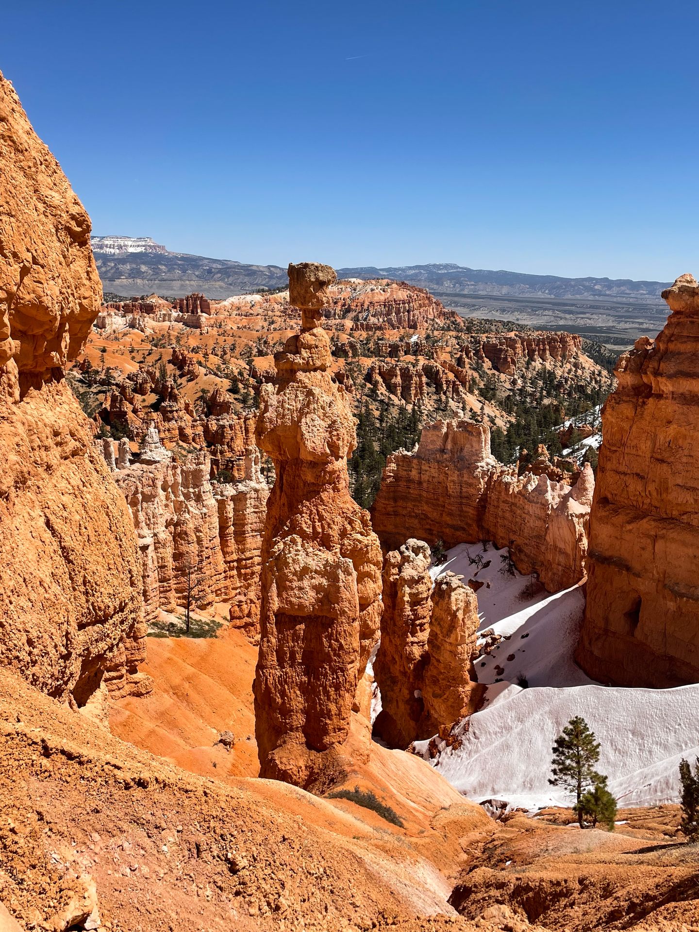 A view of the Thor's Hammer rock formation from the Navajo Trail